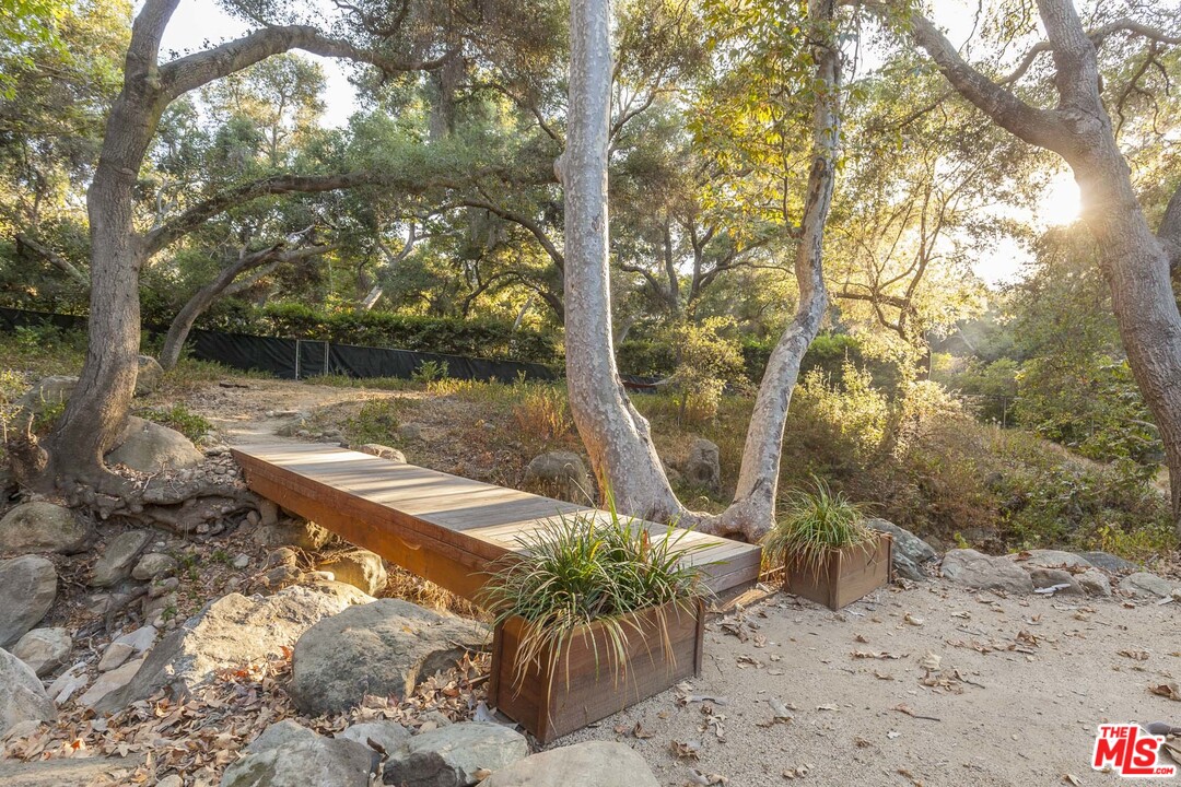 616 Cold Canyon Road Calabasas, CA 91302 - Photo 36 of 51 a view of a yard with plants and large trees