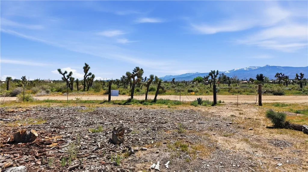 0 Sunset Road Phelan, CA 92371 - Photo 16 of 34 a view of a yard with a large trees