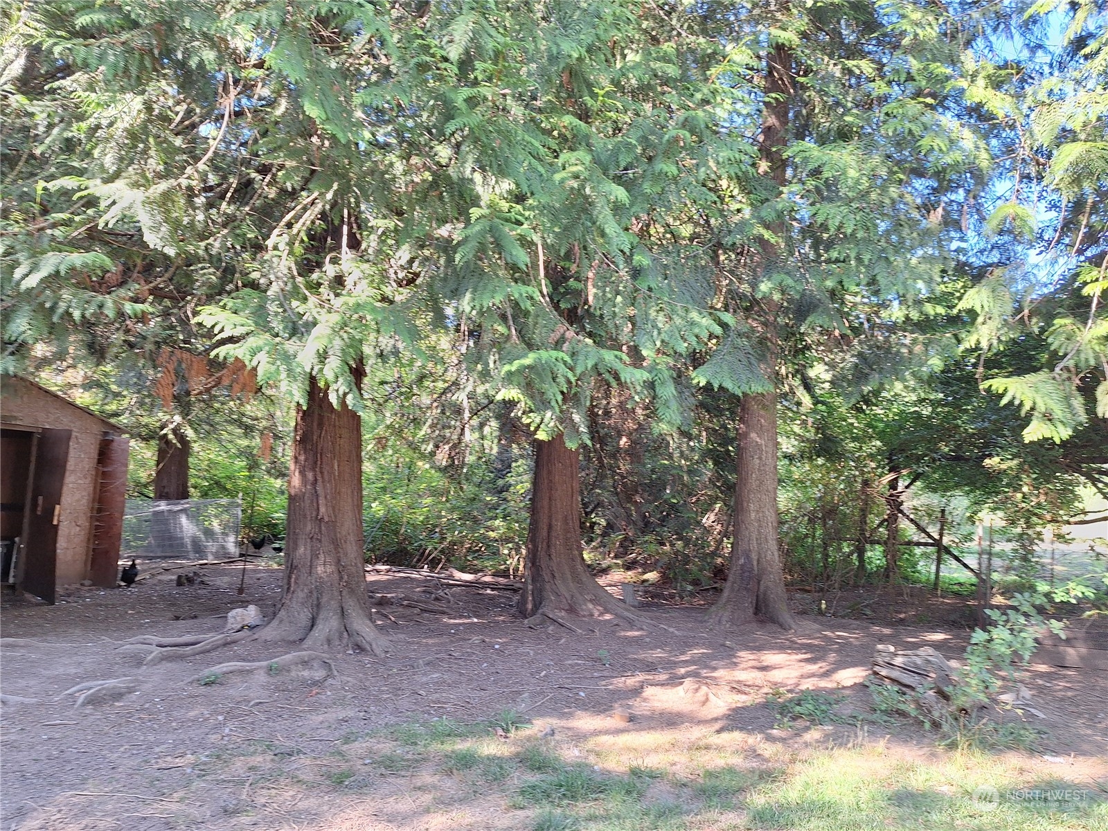 106 Barbec Lane Chehalis, WA 98532 - Photo 13 of 29