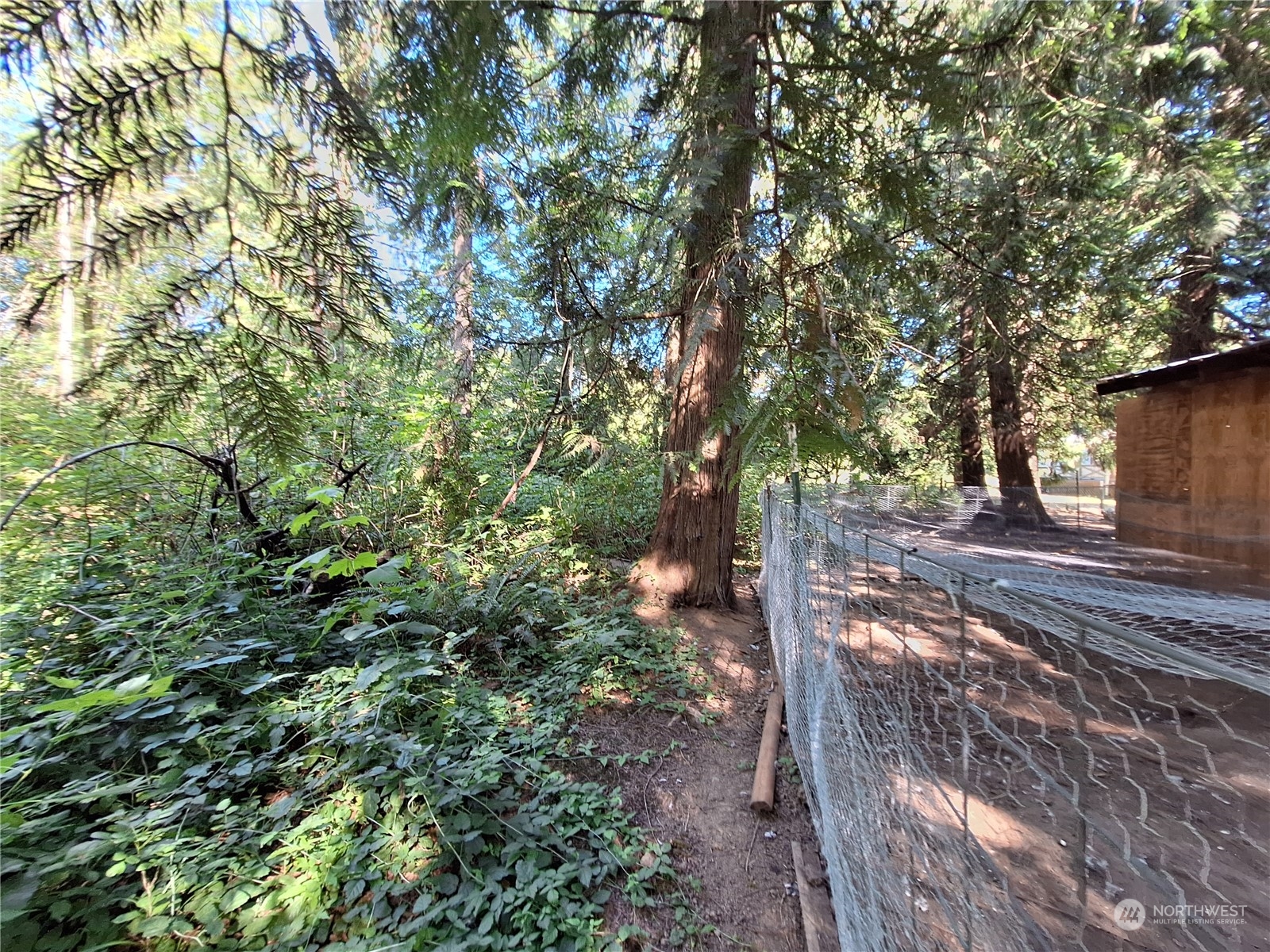 106 Barbec Lane Chehalis, WA 98532 - Photo 14 of 29