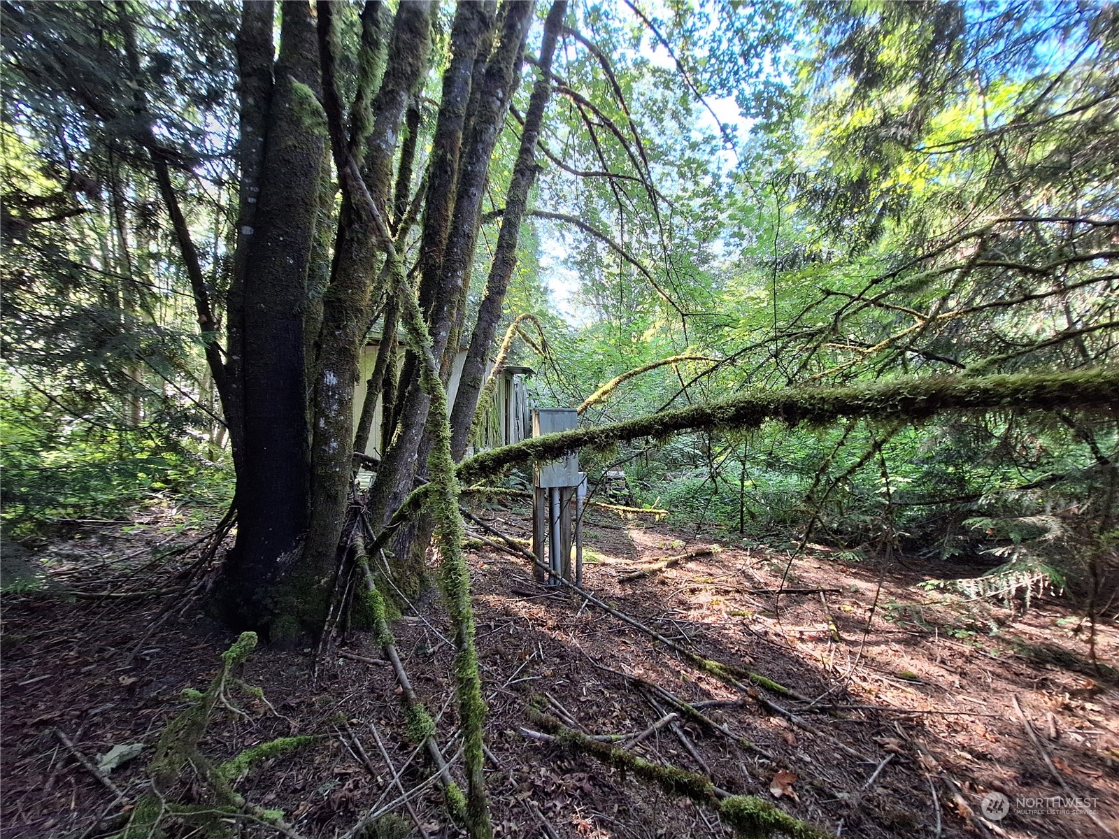 106 Barbec Lane Chehalis, WA 98532 - Photo 15 of 29