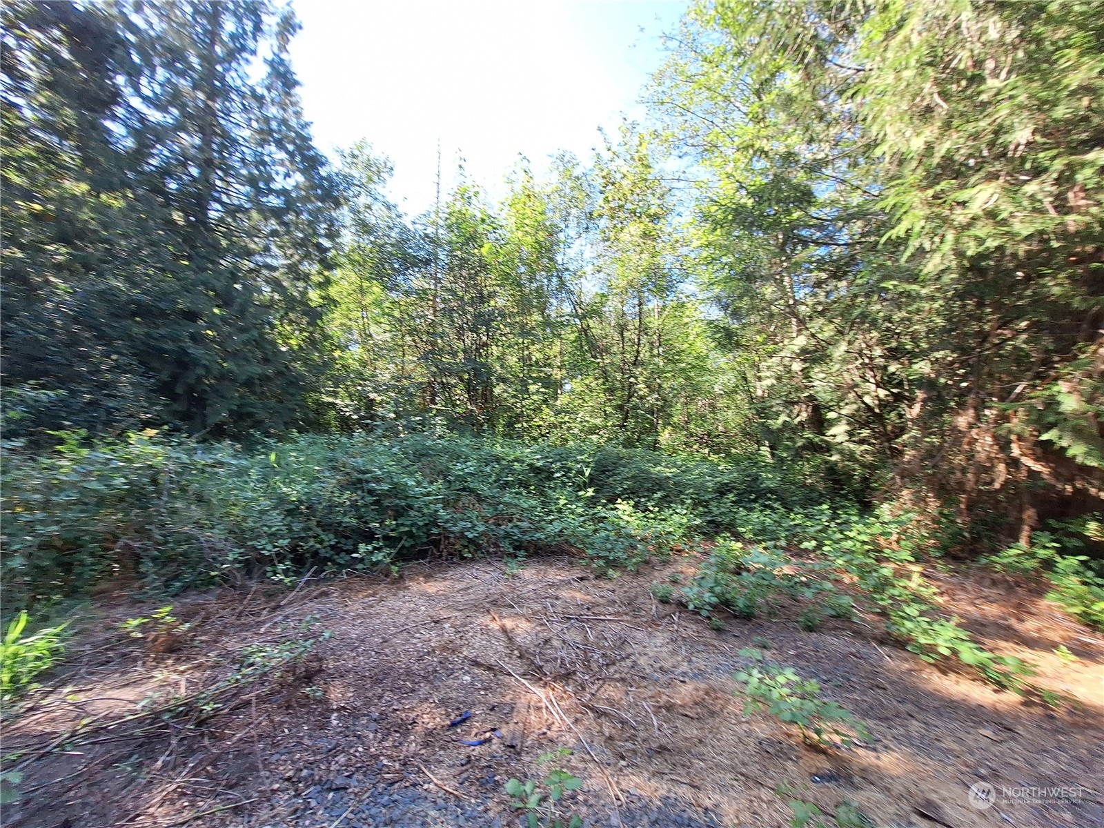 106 Barbec Lane Chehalis, WA 98532 - Photo 16 of 29