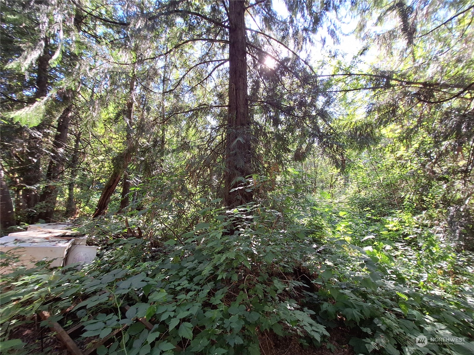 106 Barbec Lane Chehalis, WA 98532 - Photo 17 of 29