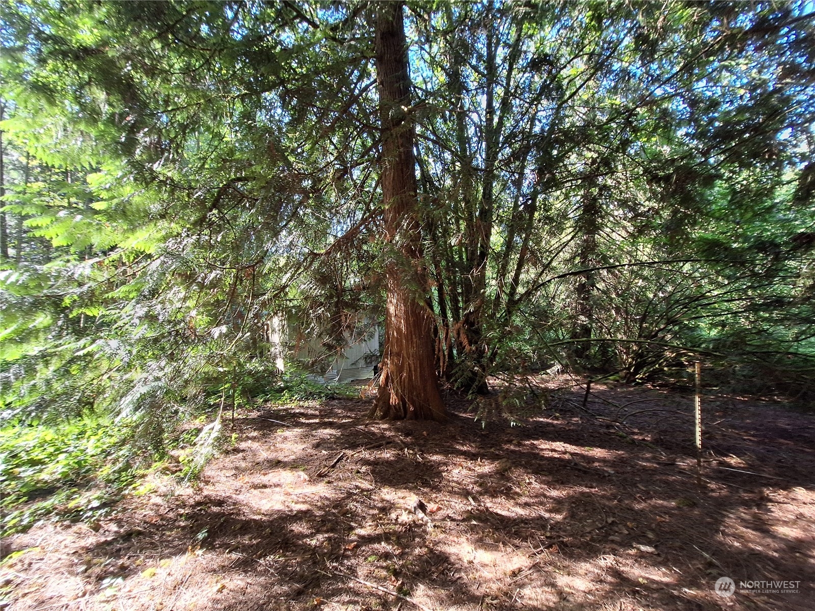 106 Barbec Lane Chehalis, WA 98532 - Photo 18 of 29