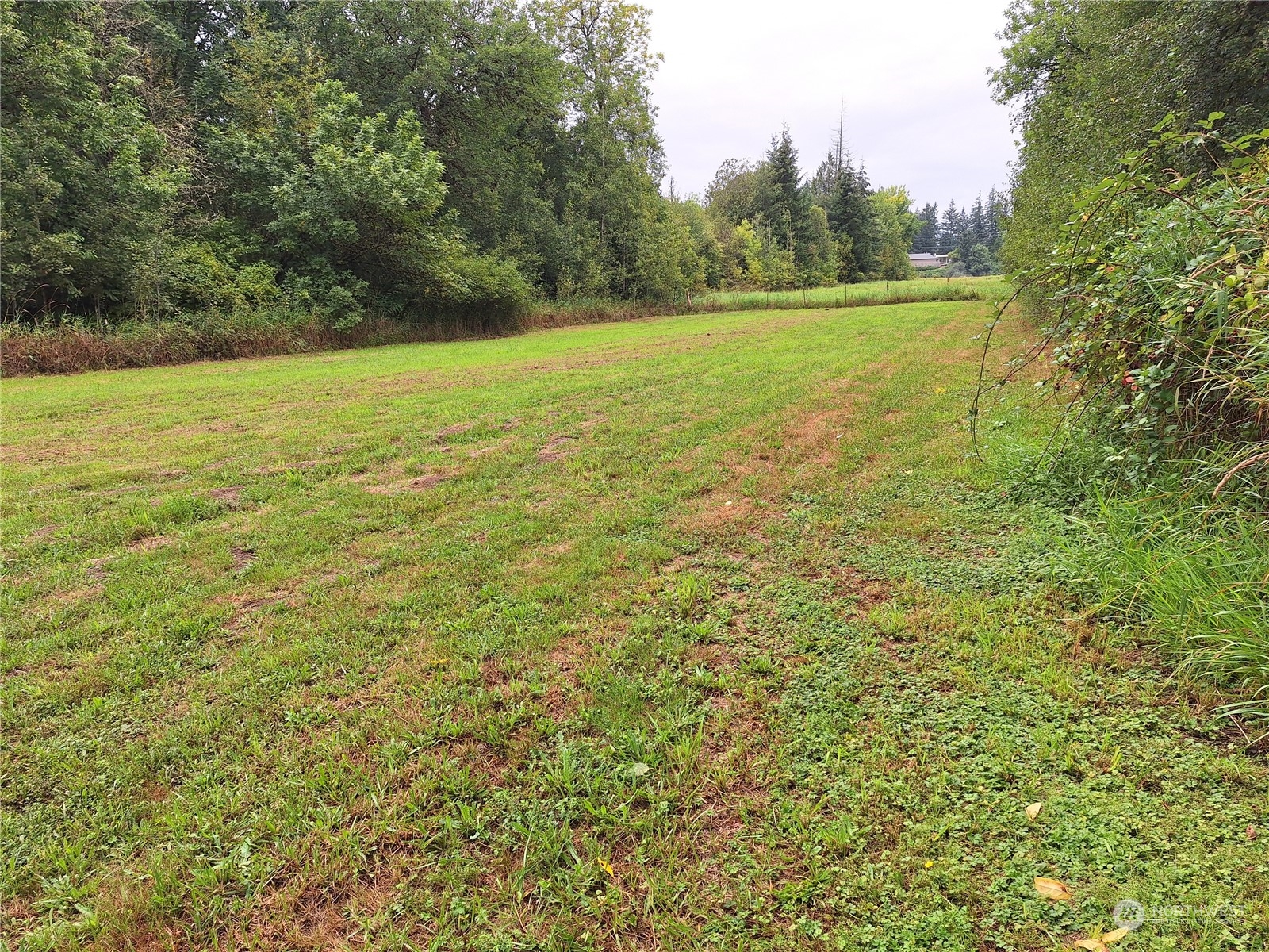 106 Barbec Lane Chehalis, WA 98532 - Photo 21 of 29