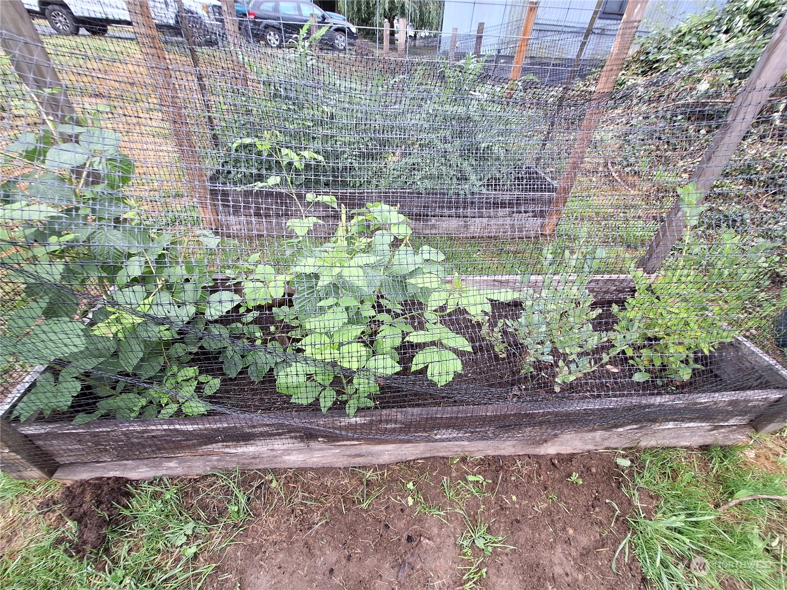 106 Barbec Lane Chehalis, WA 98532 - Photo 10 of 29