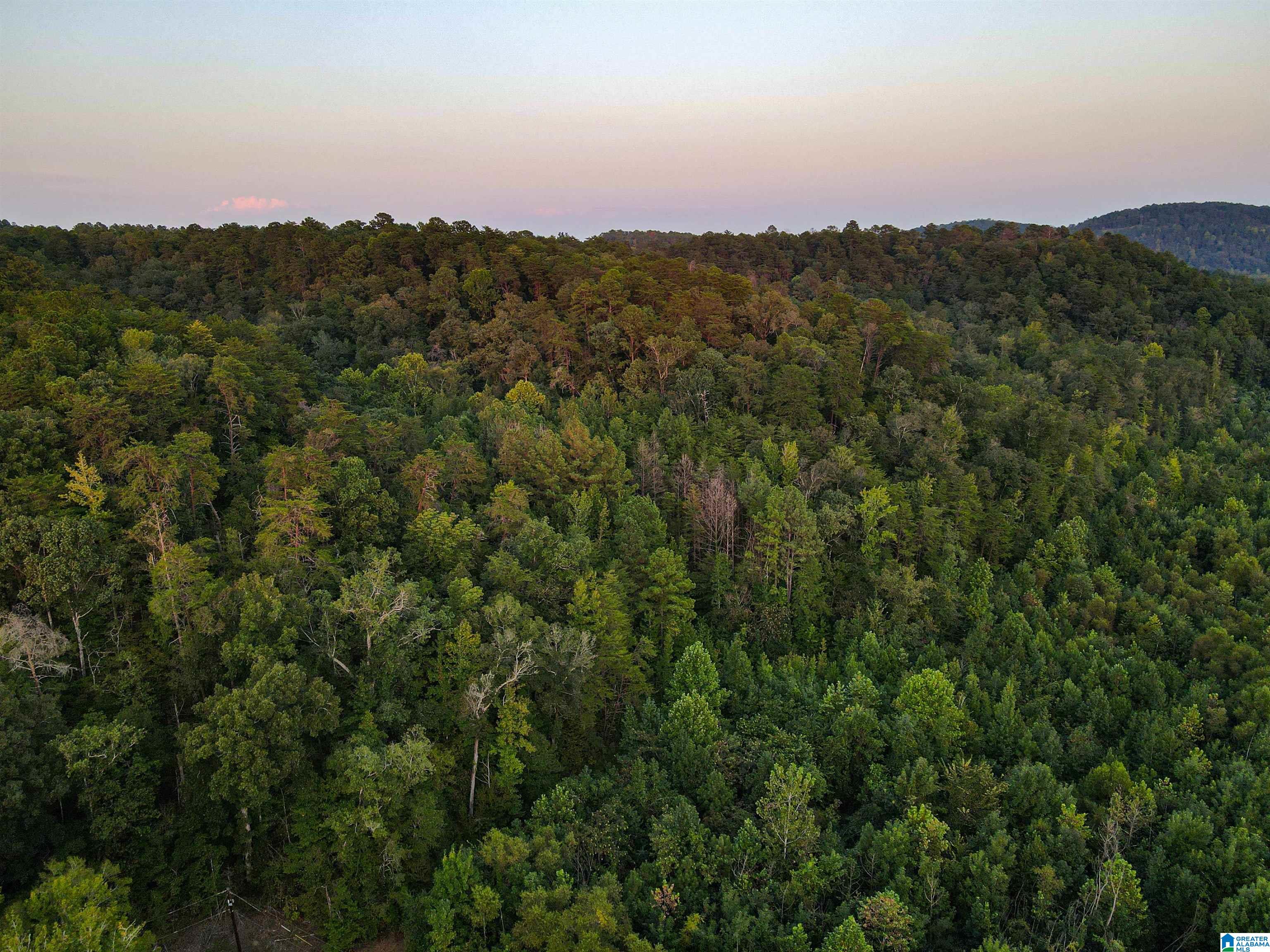 1 Highway 18, Unit 1 Oakman, AL 35579 - Photo 21 of 46