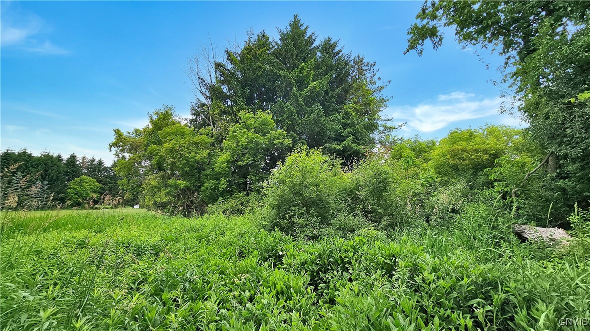 9692 E Road, Unit 9688 Denmark, NY 13367 - Photo 7 of 10