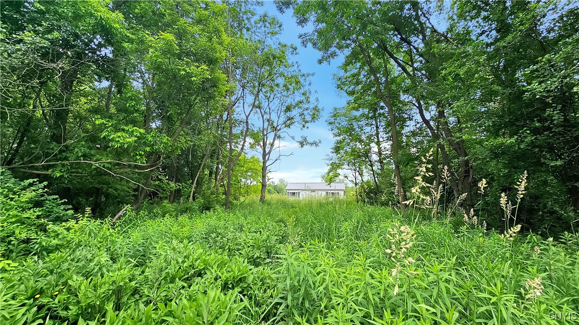 9692 E Road, Unit 9688 Denmark, NY 13367 - Photo 8 of 10