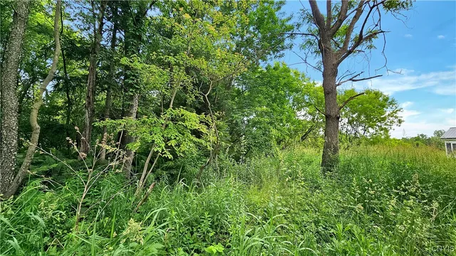 $110,000 | 9692 E Road, Unit 9688, Denmark, NY 13367