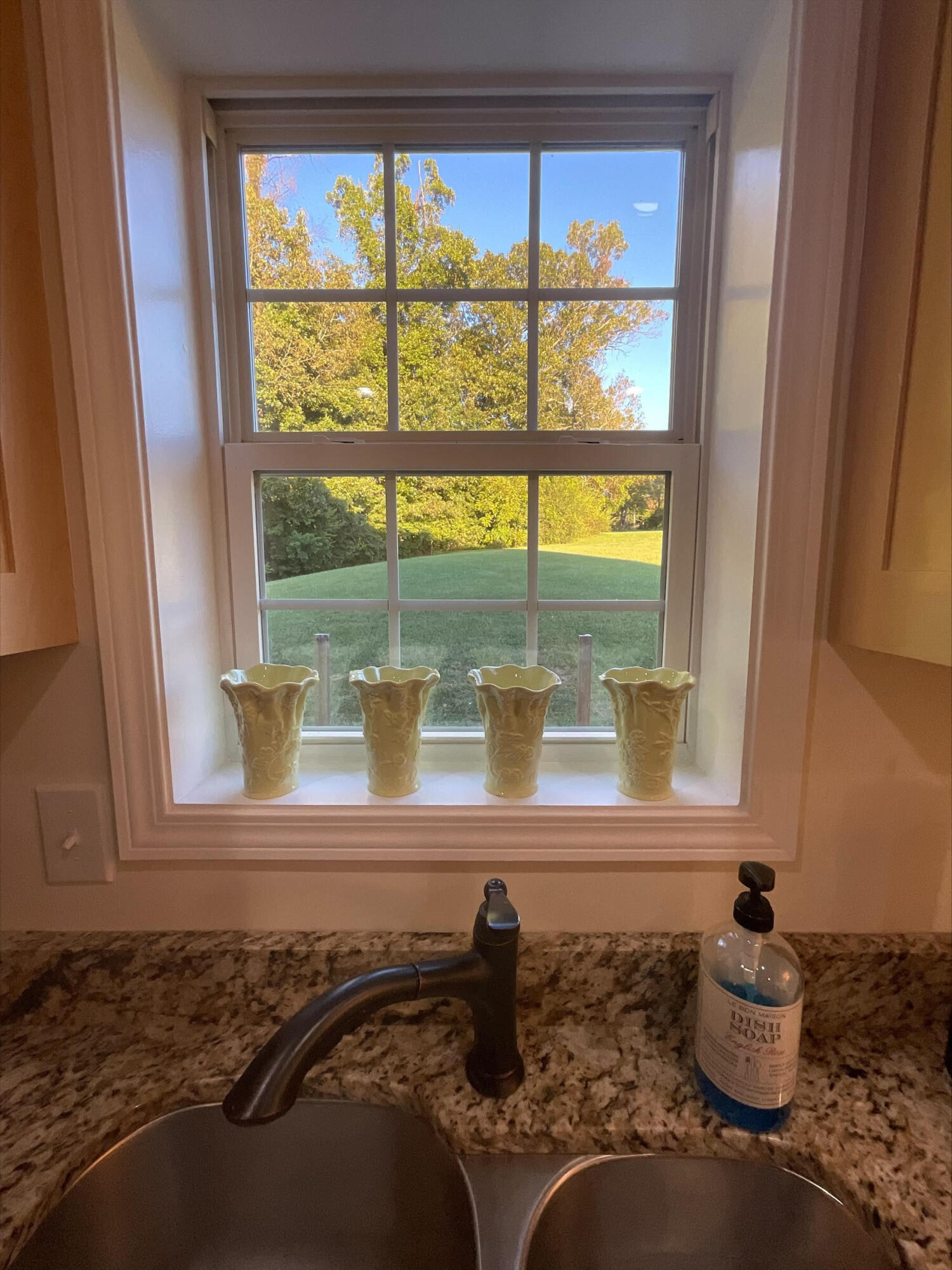 1155 Jim Fox Road Greeneville, TN 37743 - Photo 14 of 53 Kitchen Sink Looking Out