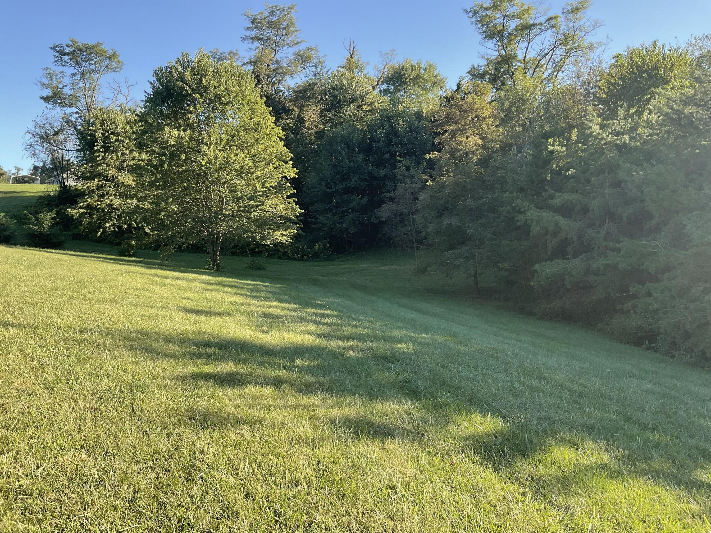 1155 Jim Fox Road Greeneville, TN 37743 - Photo 44 of 53 Yard