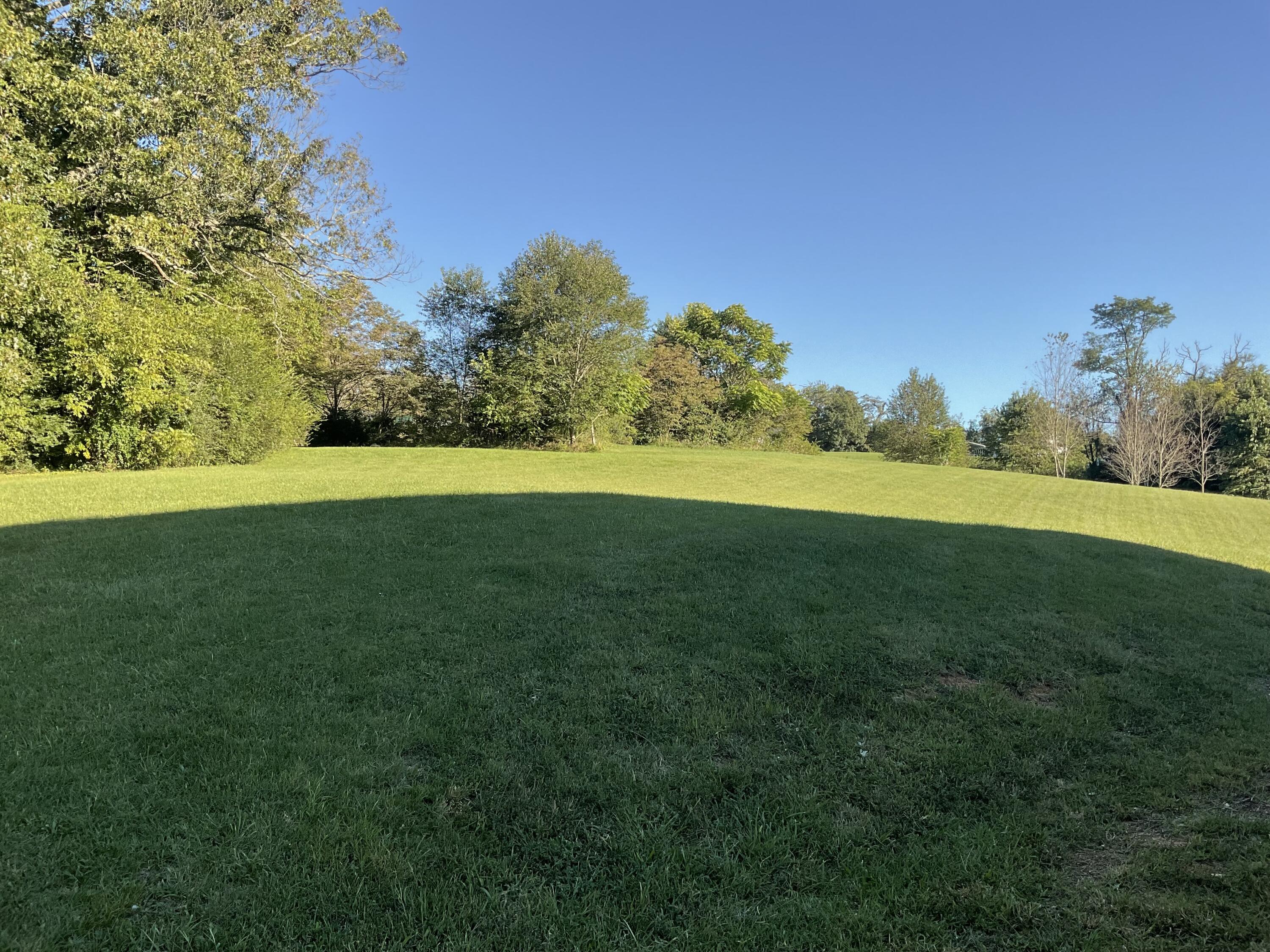 1155 Jim Fox Road Greeneville, TN 37743 - Photo 47 of 53 Backyard