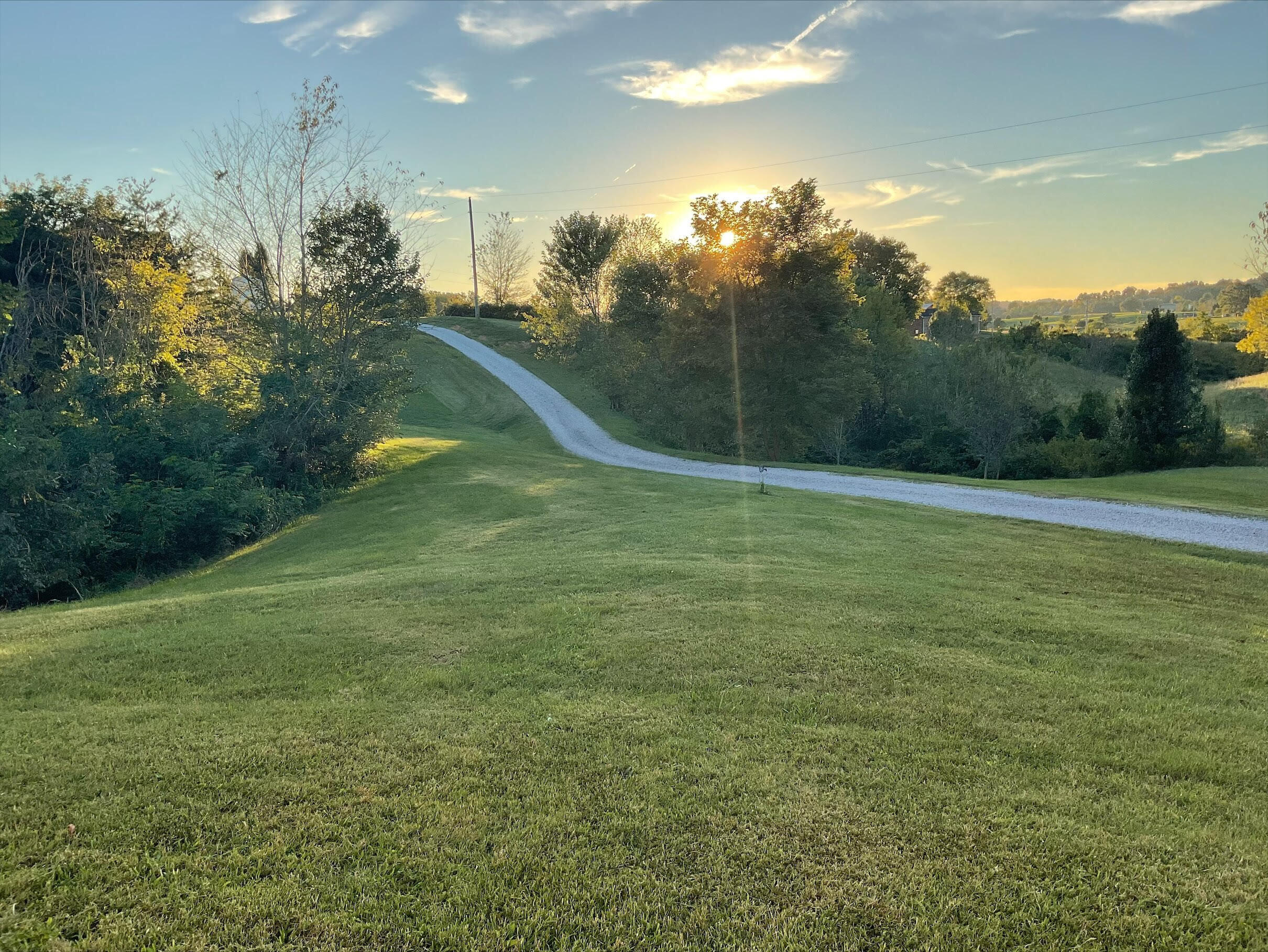 1155 Jim Fox Road Greeneville, TN 37743 - Photo 50 of 53 Drive Way