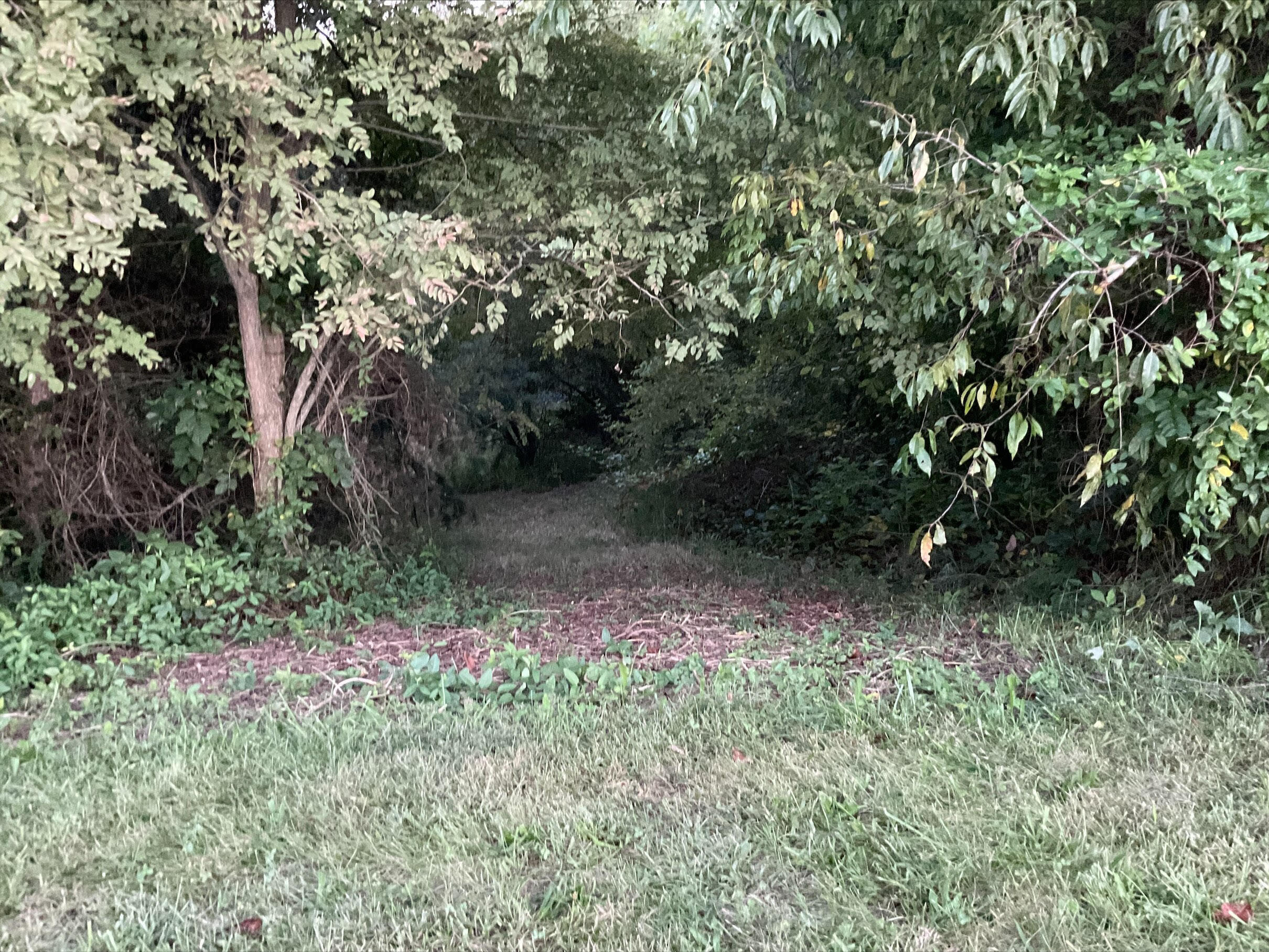 1155 Jim Fox Road Greeneville, TN 37743 - Photo 53 of 53 Entrance to Pond/Fire Pit