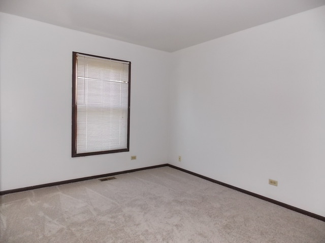695 Rockhurst Road Bolingbrook, IL 60440 - Photo 12 of 19