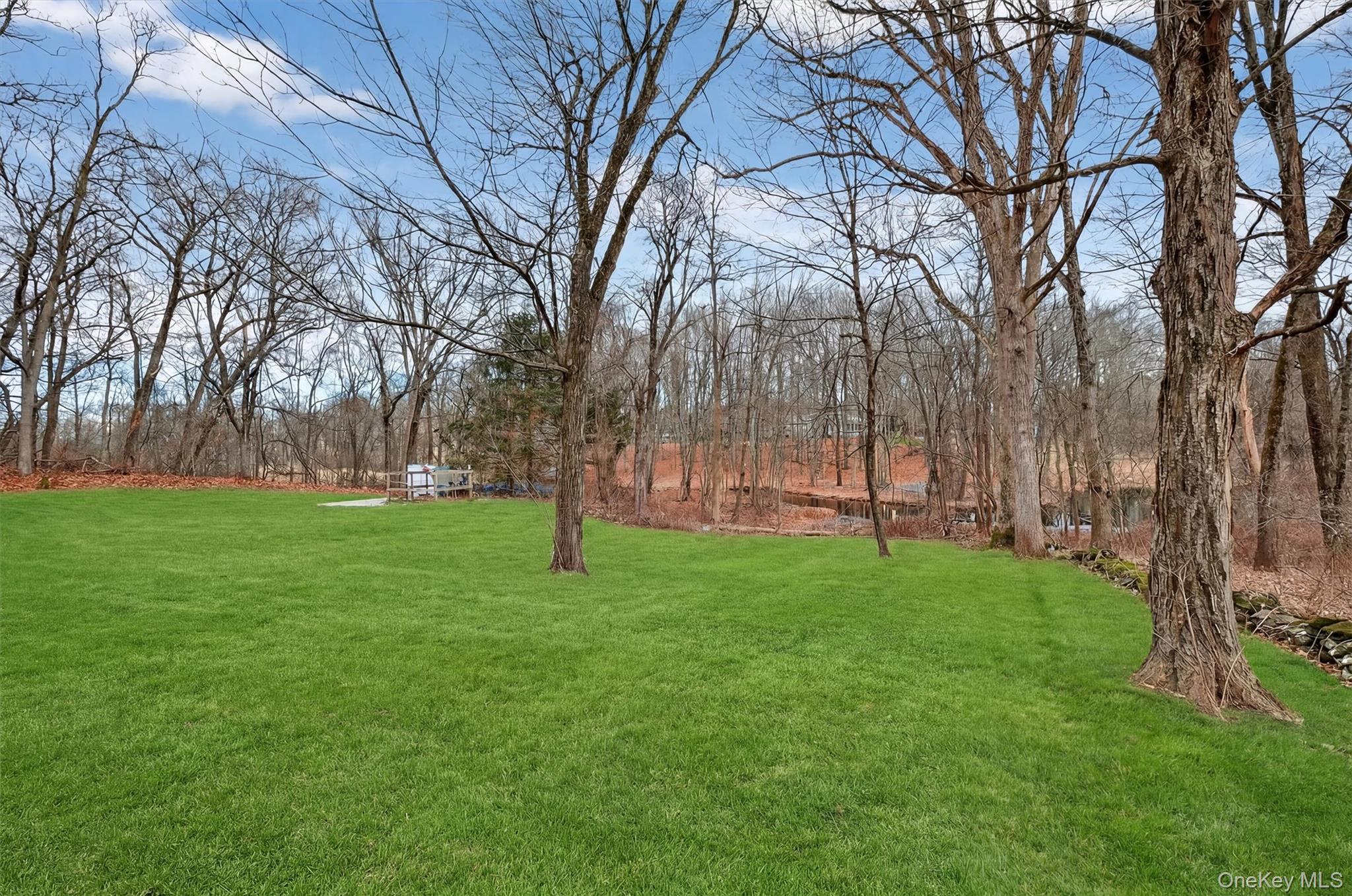 21 Russo Road Hopewell Junction, NY 12533 - Photo 39 of 41 a huge green field with lots of trees