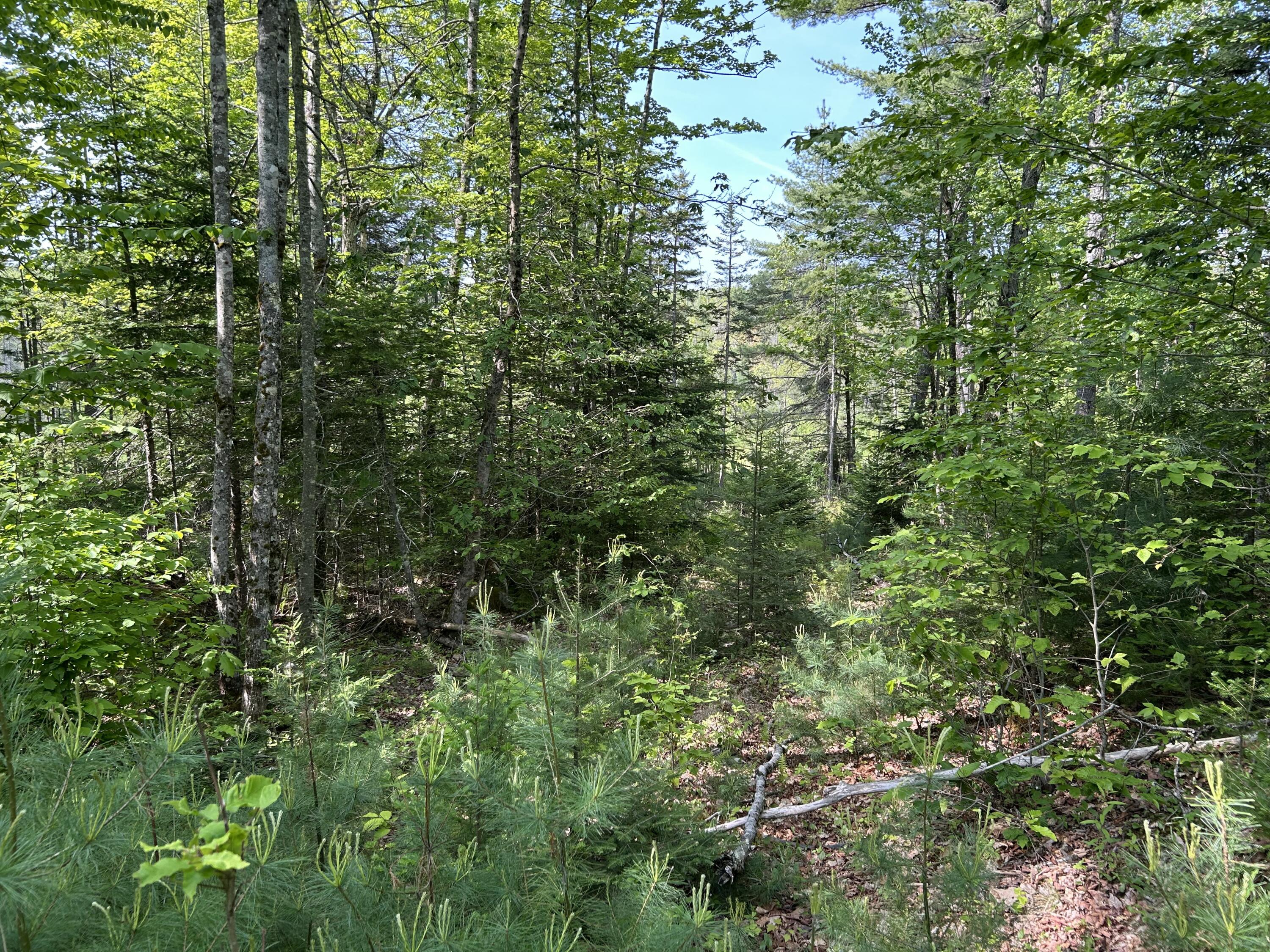 M5-l13 Clark Road Prospect, ME 04981 - Photo 2 of 33 IMG_8811