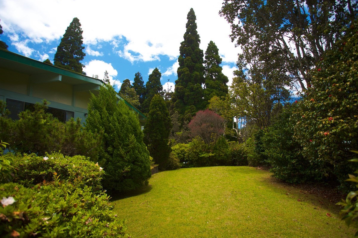 19-4096 Wright Road Volcano, HI 96785 - Photo 2 of 23 a view of a yard