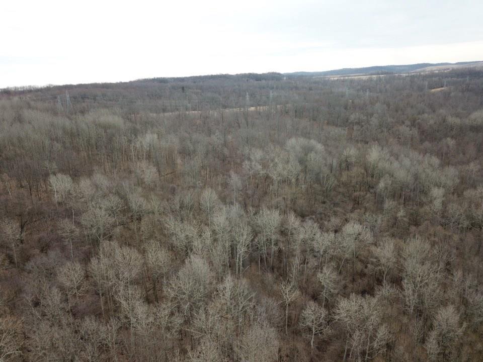 0 West Pittsburg Road New Castle, PA 16101 - Photo 9 of 18