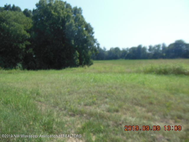 0 Sowell Road Coldwater, MS 38618 - Photo 1 of 4 DSCN1561