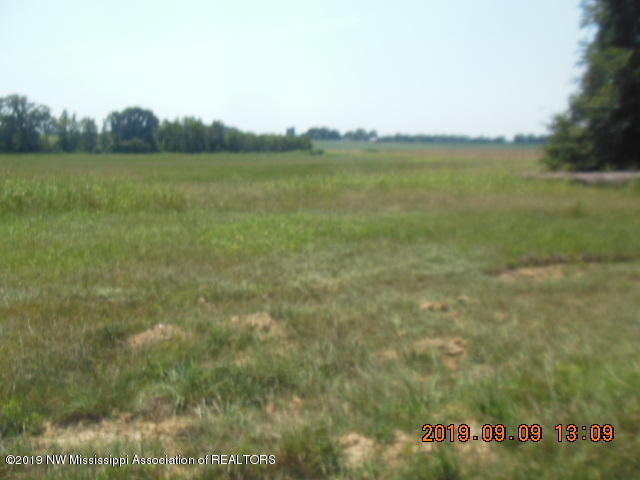 0 Sowell Road Coldwater, MS 38618 - Photo 3 of 4 DSCN1563