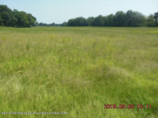 0 Sowell Road Coldwater, MS 38618 - Photo 4 of 4 DSCN1572