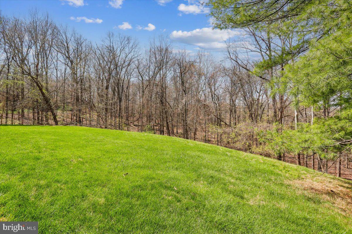 11112 Tara Road Potomac, MD 20854 - Photo 40 of 47 Backyard