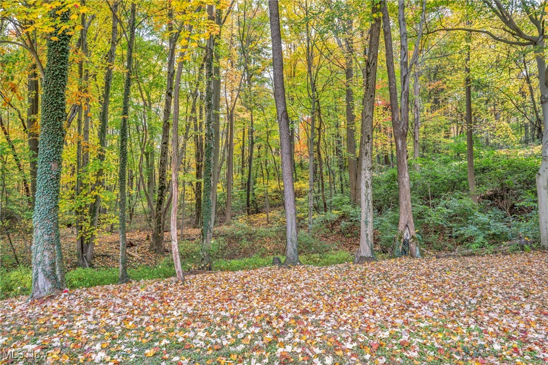 16340 Galehouse Road Doylestown, OH 44230 - Photo 13 of 50 View of landscape