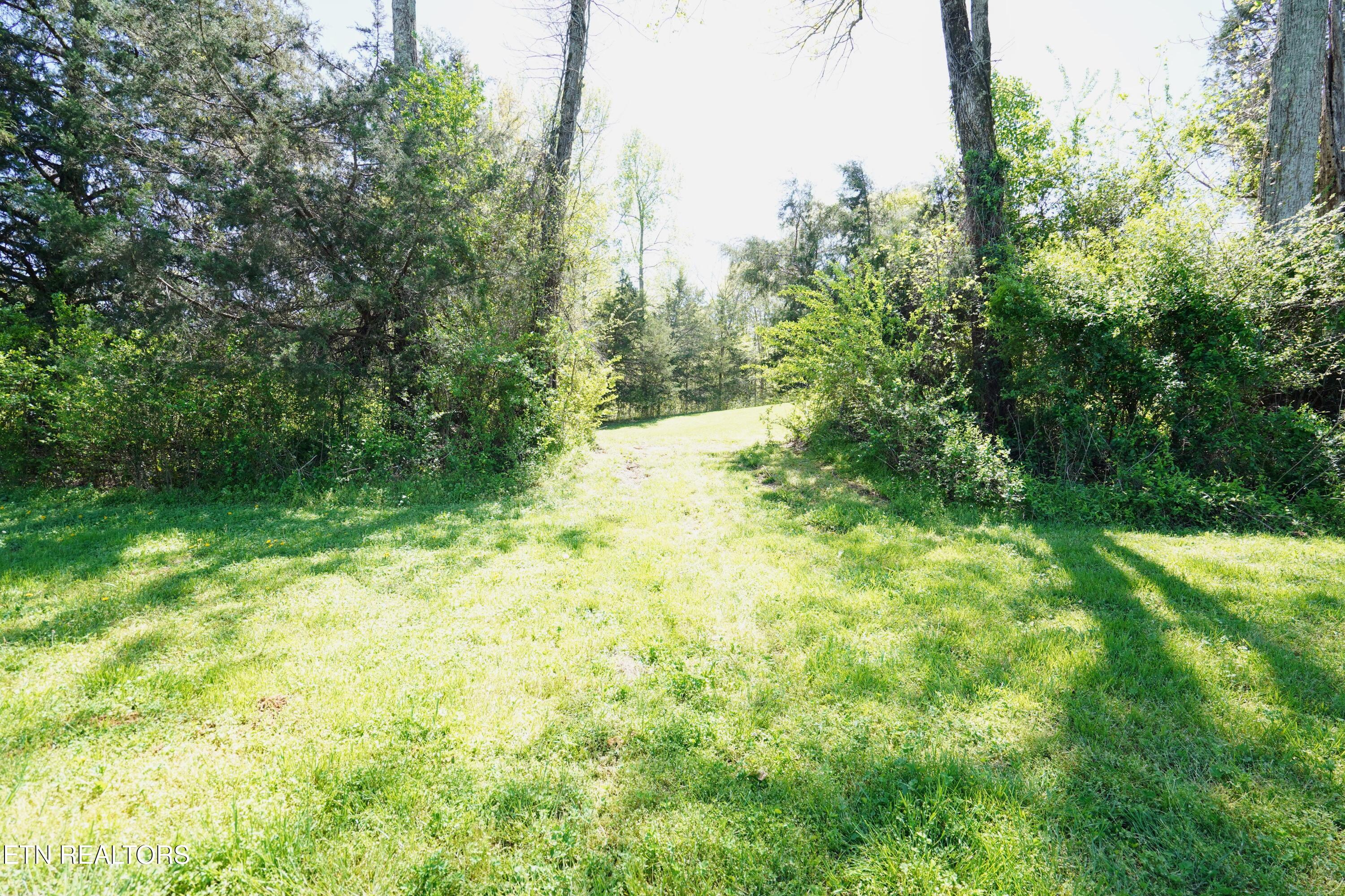 6101 Big Bottom Road Sparta, TN 38583 - Photo 31 of 52 DSC01296