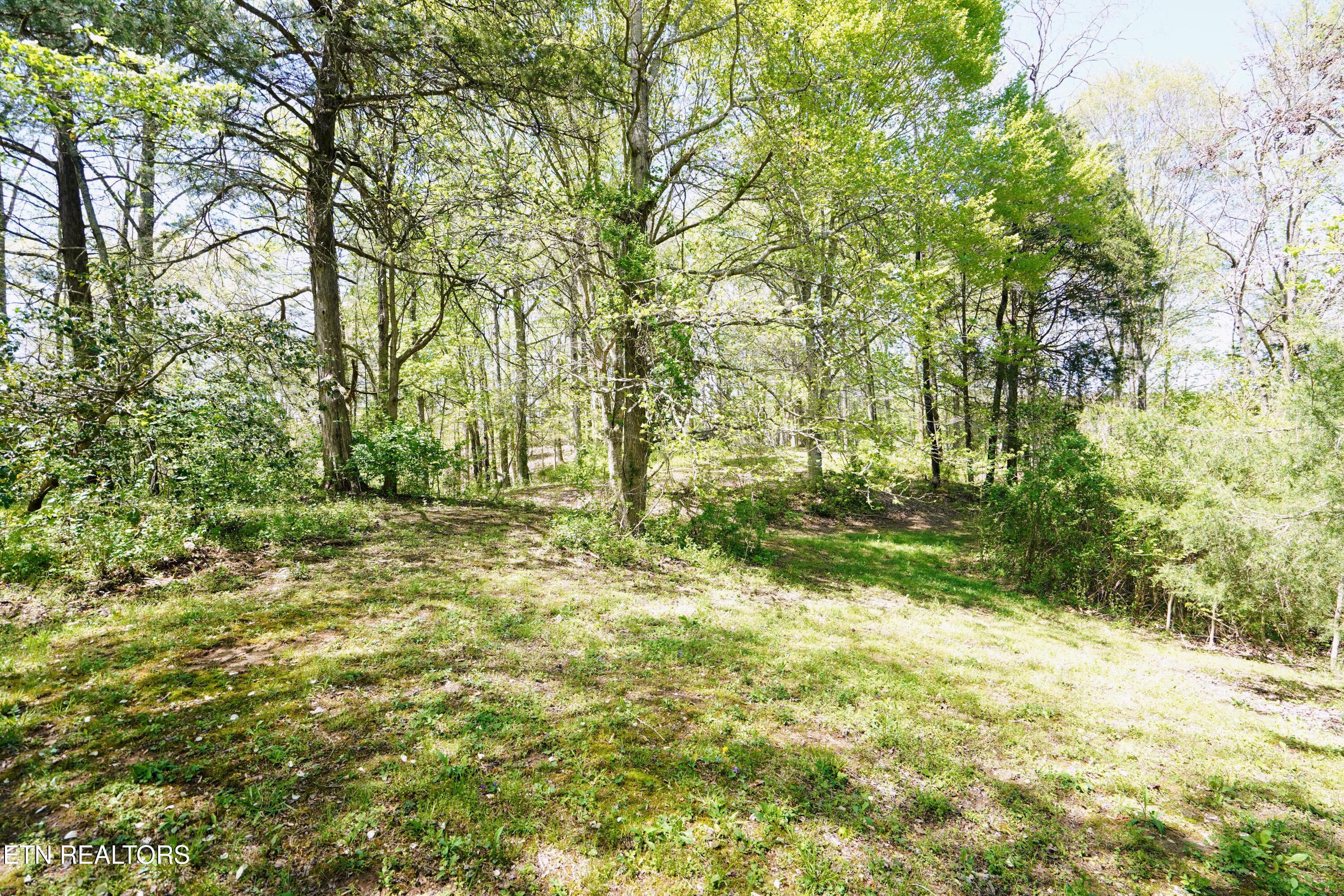 6101 Big Bottom Road Sparta, TN 38583 - Photo 33 of 52 DSC01299