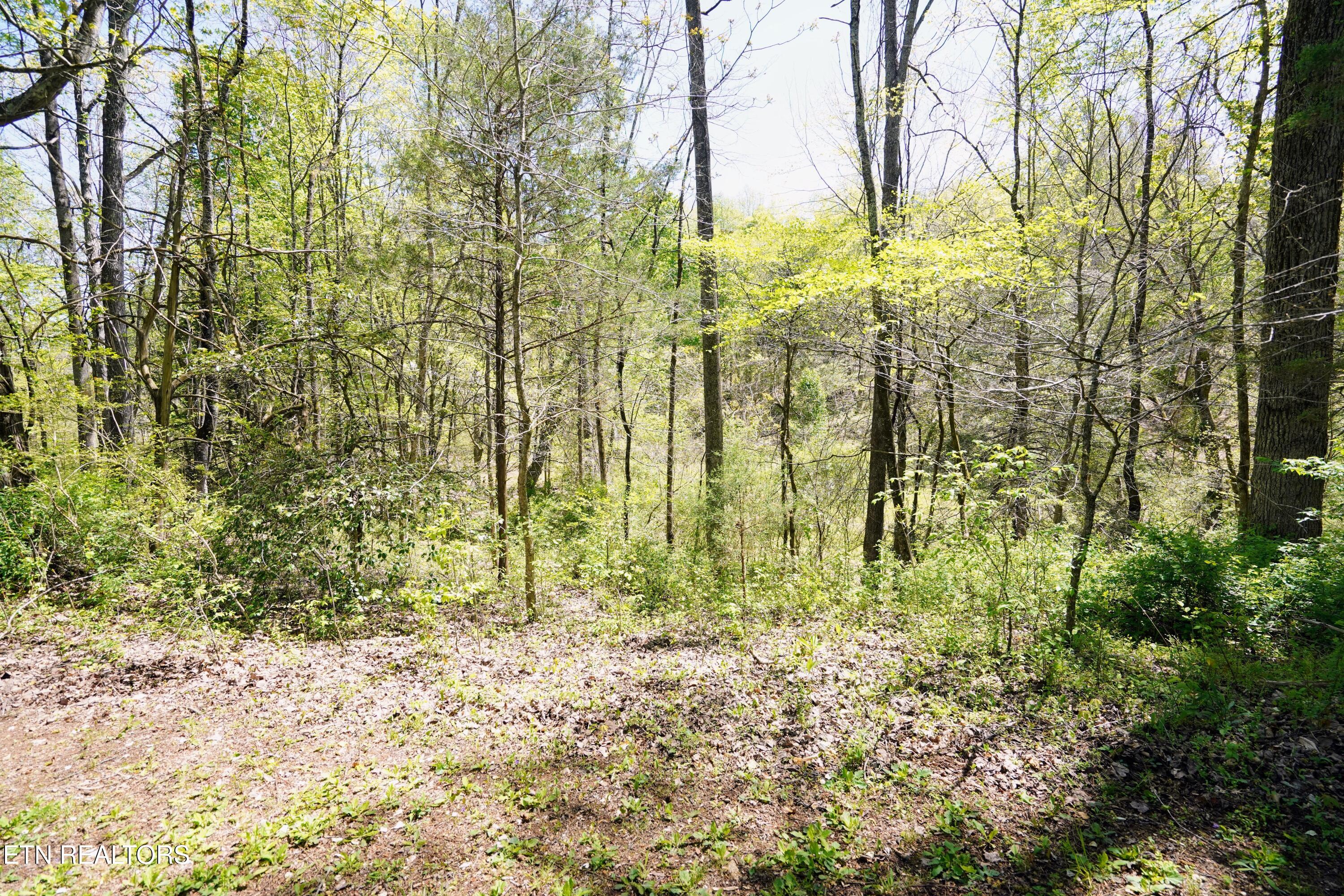6101 Big Bottom Road Sparta, TN 38583 - Photo 34 of 52 DSC01300