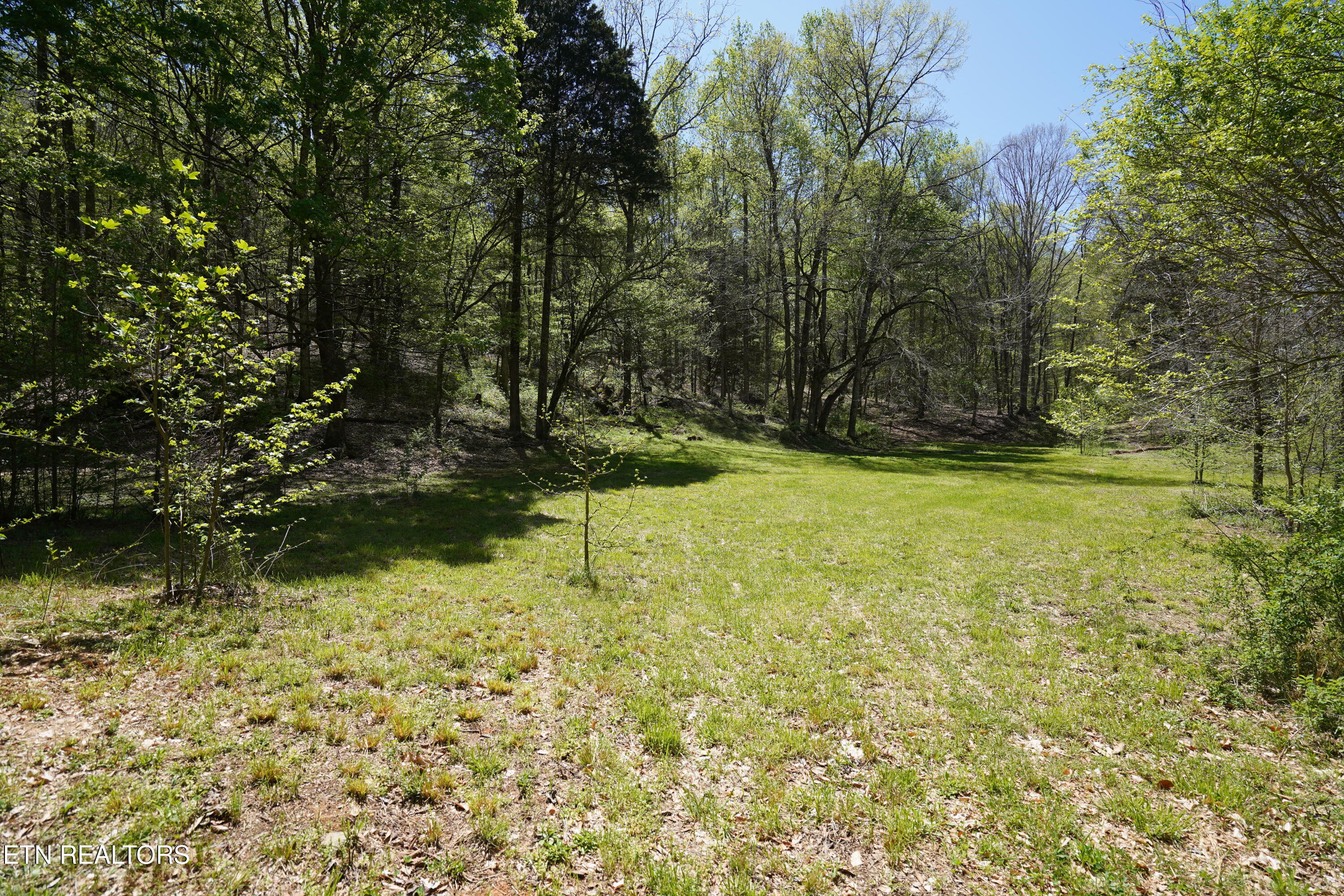 6101 Big Bottom Road Sparta, TN 38583 - Photo 38 of 52 DSC01304