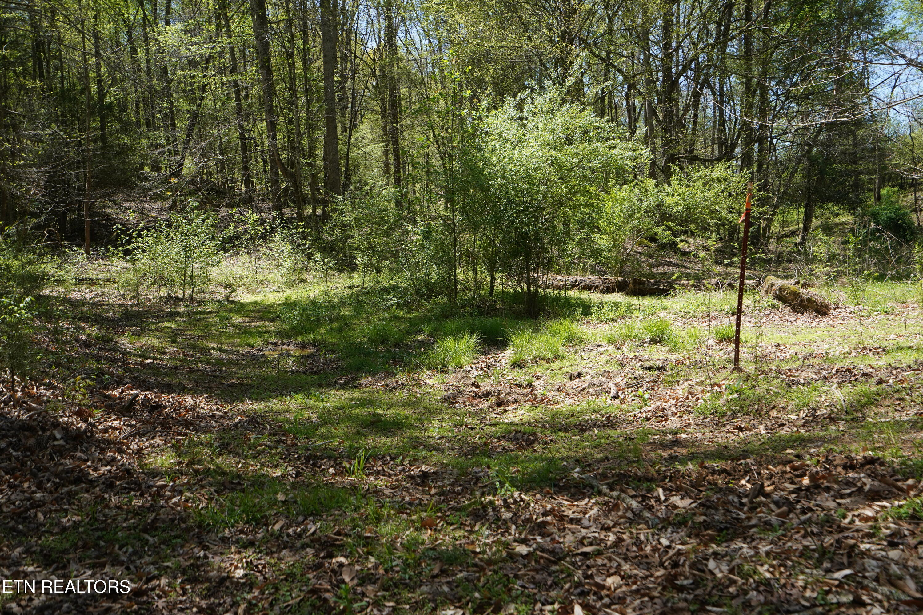 6101 Big Bottom Road Sparta, TN 38583 - Photo 42 of 52 DSC01308