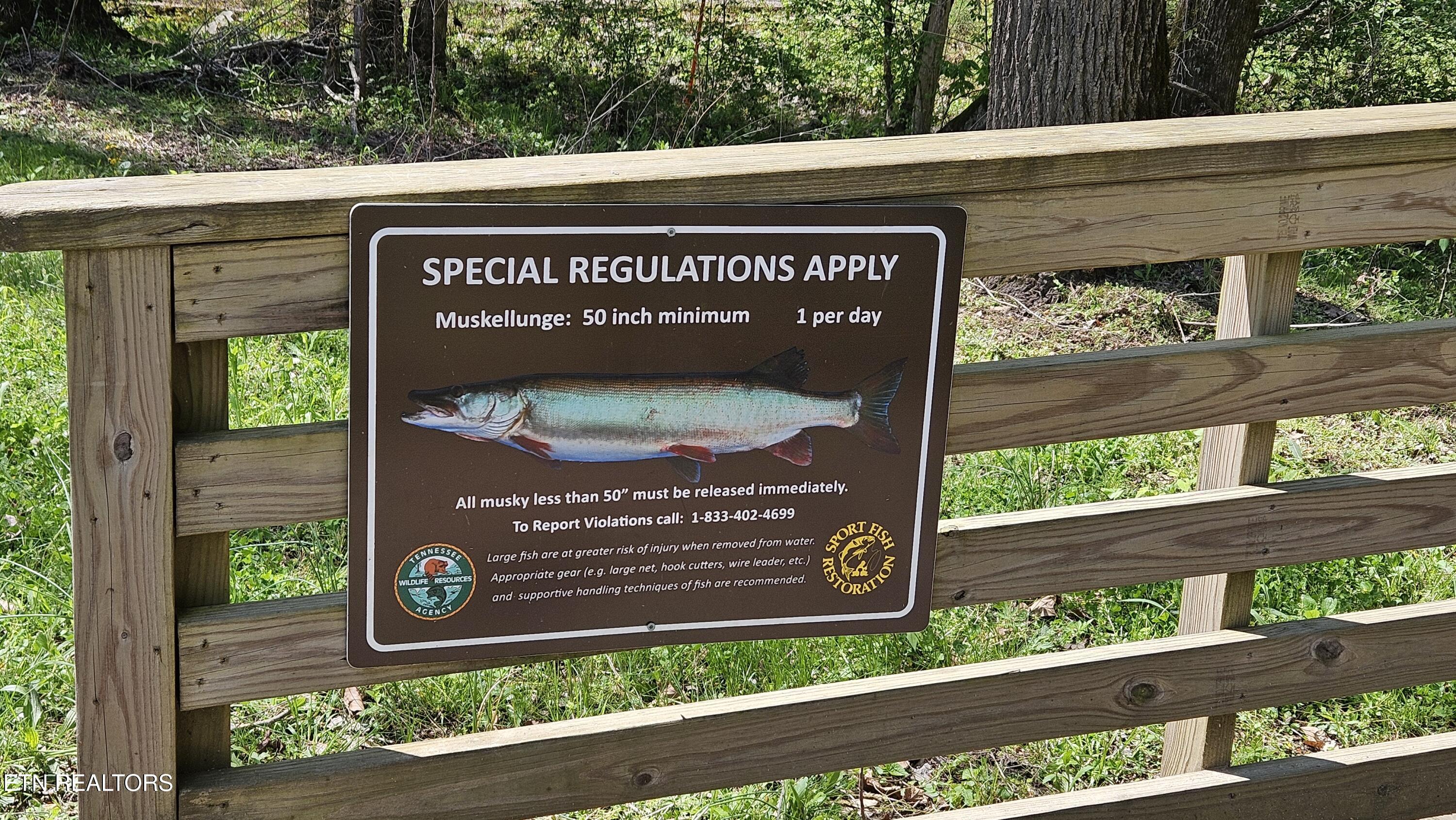 6101 Big Bottom Road Sparta, TN 38583 - Photo 48 of 52 Fish SIgn Photo_6101 Big Bottom