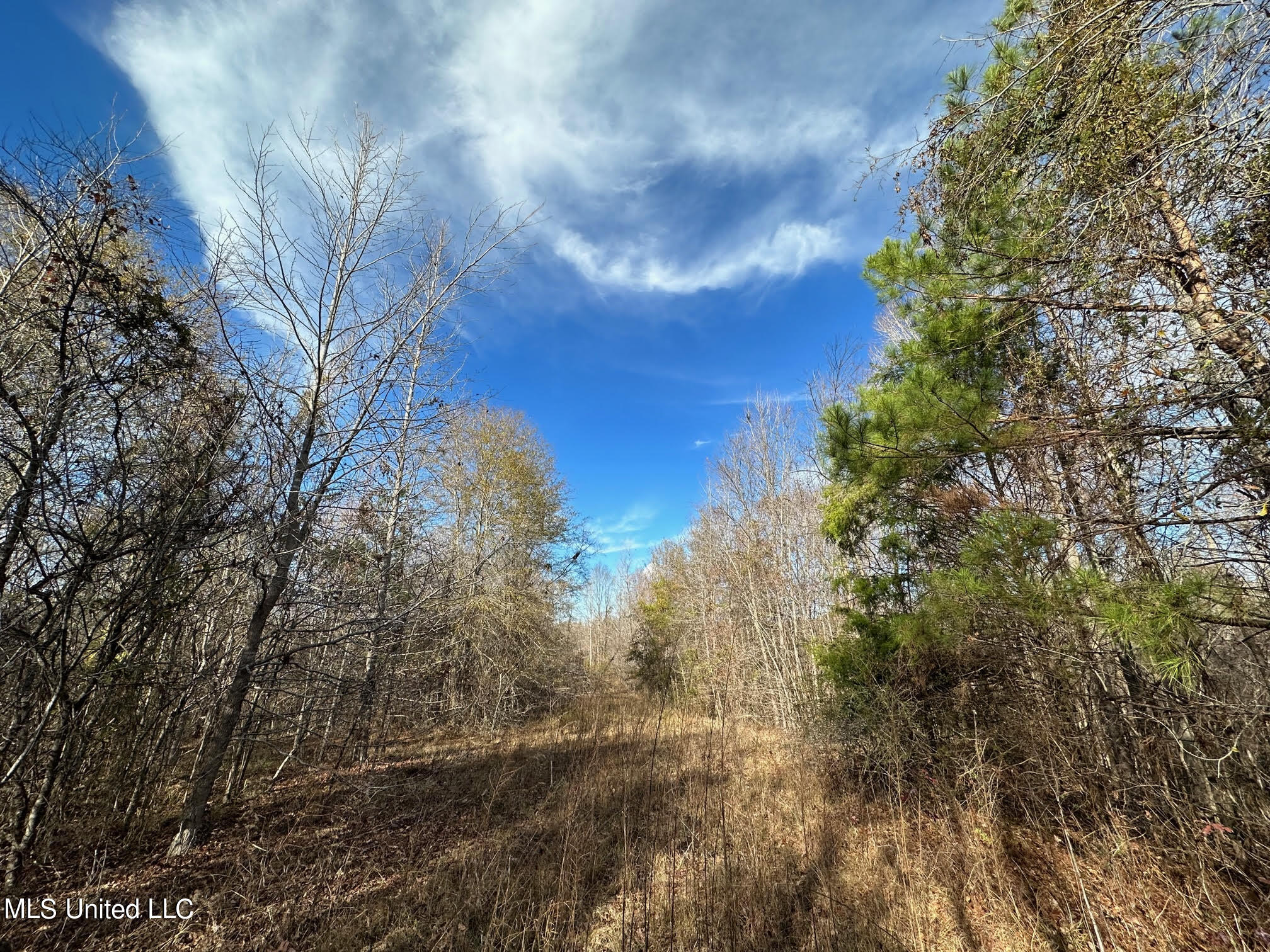 3125 Norman Road Hazlehurst, MS 39083 - Photo 11 of 31 10