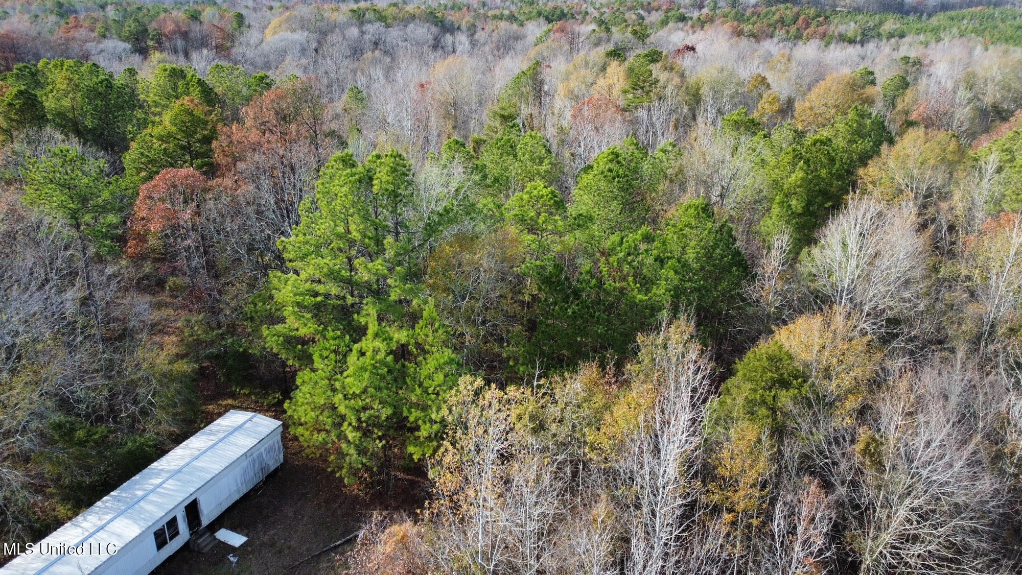 3125 Norman Road Hazlehurst, MS 39083 - Photo 22 of 31 22