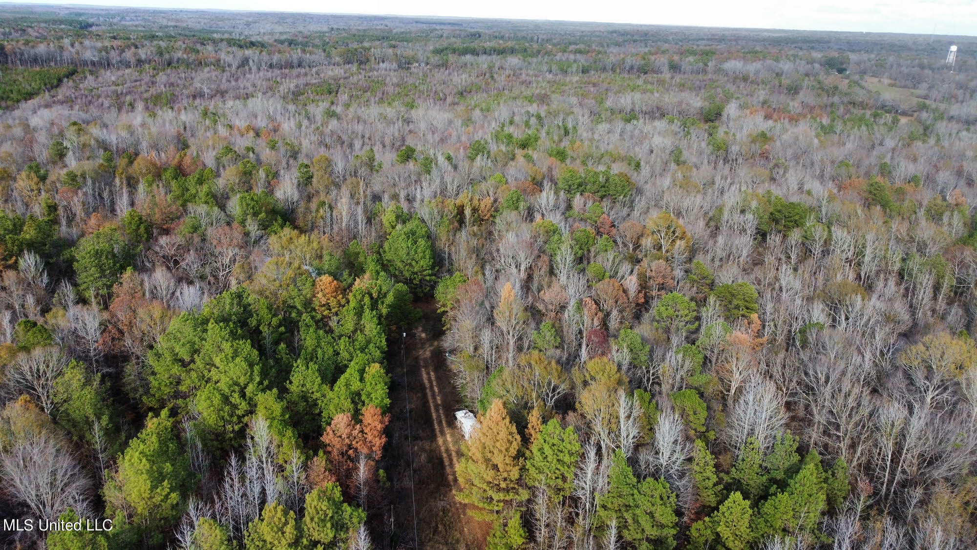 3125 Norman Road Hazlehurst, MS 39083 - Photo 23 of 31 23