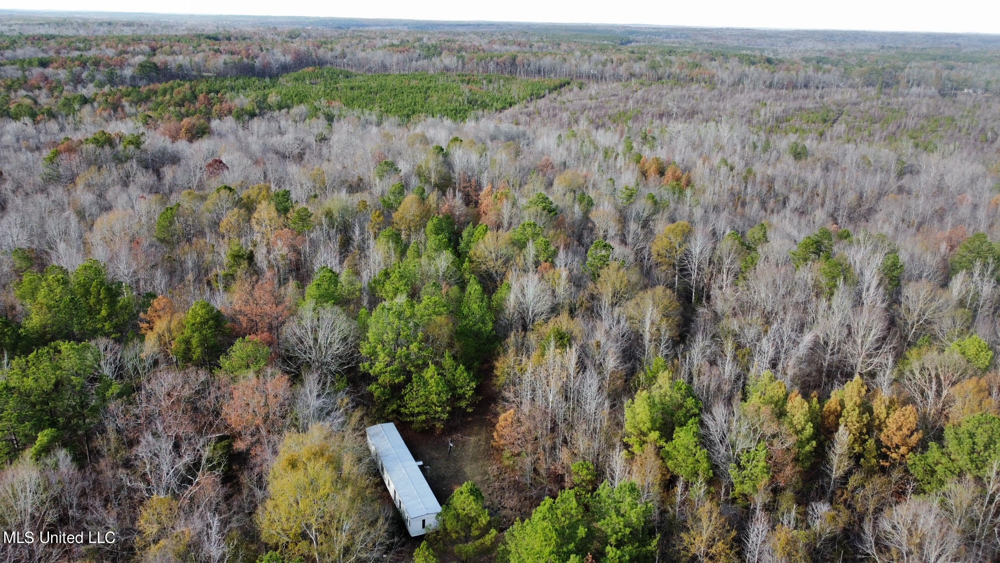3125 Norman Road Hazlehurst, MS 39083 - Photo 26 of 31 26