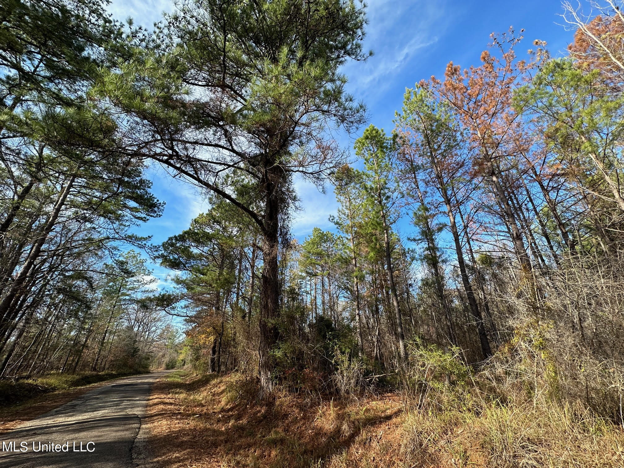 3125 Norman Road Hazlehurst, MS 39083 - Photo 3 of 31 2