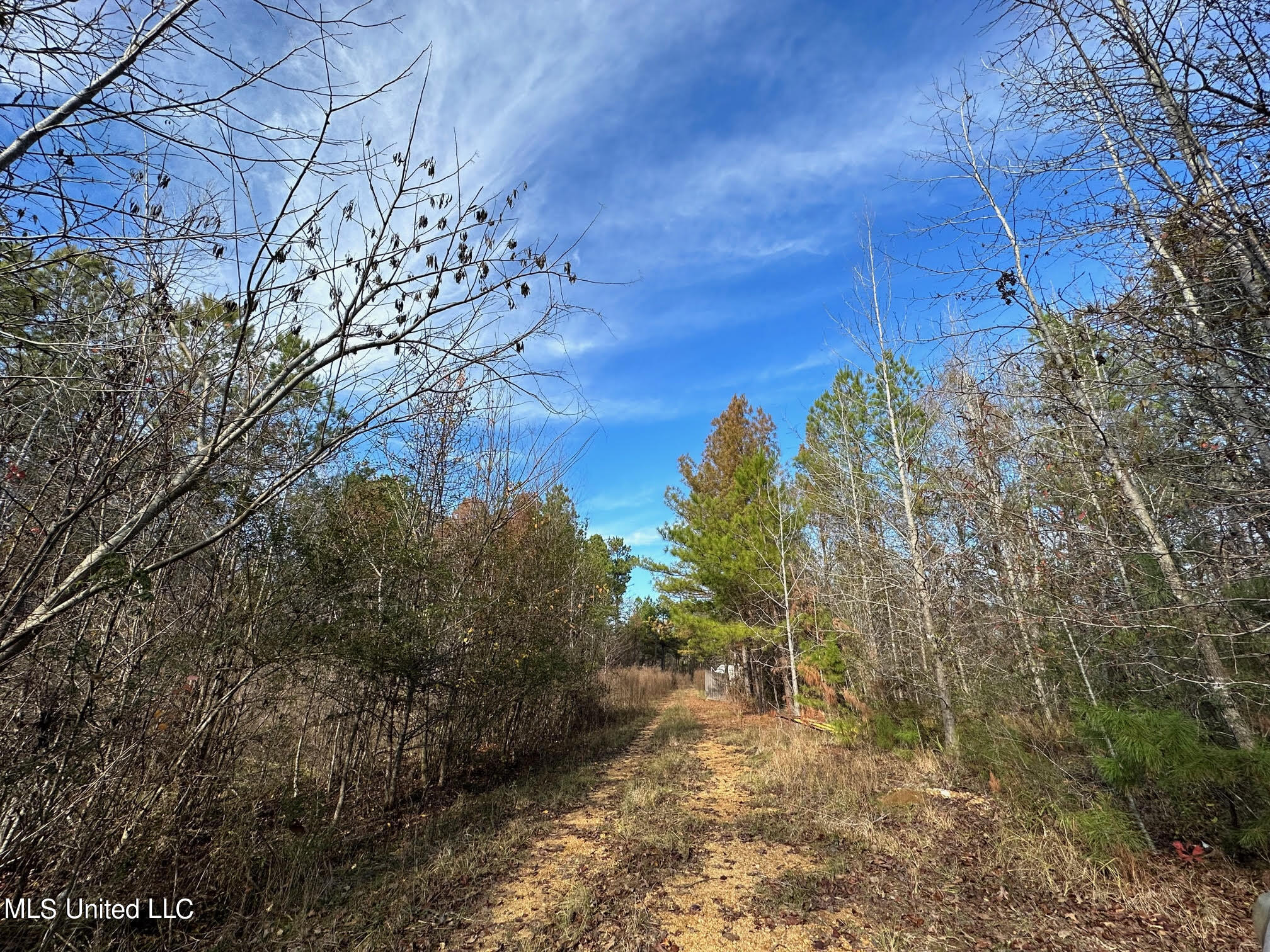 3125 Norman Road Hazlehurst, MS 39083 - Photo 4 of 31 3