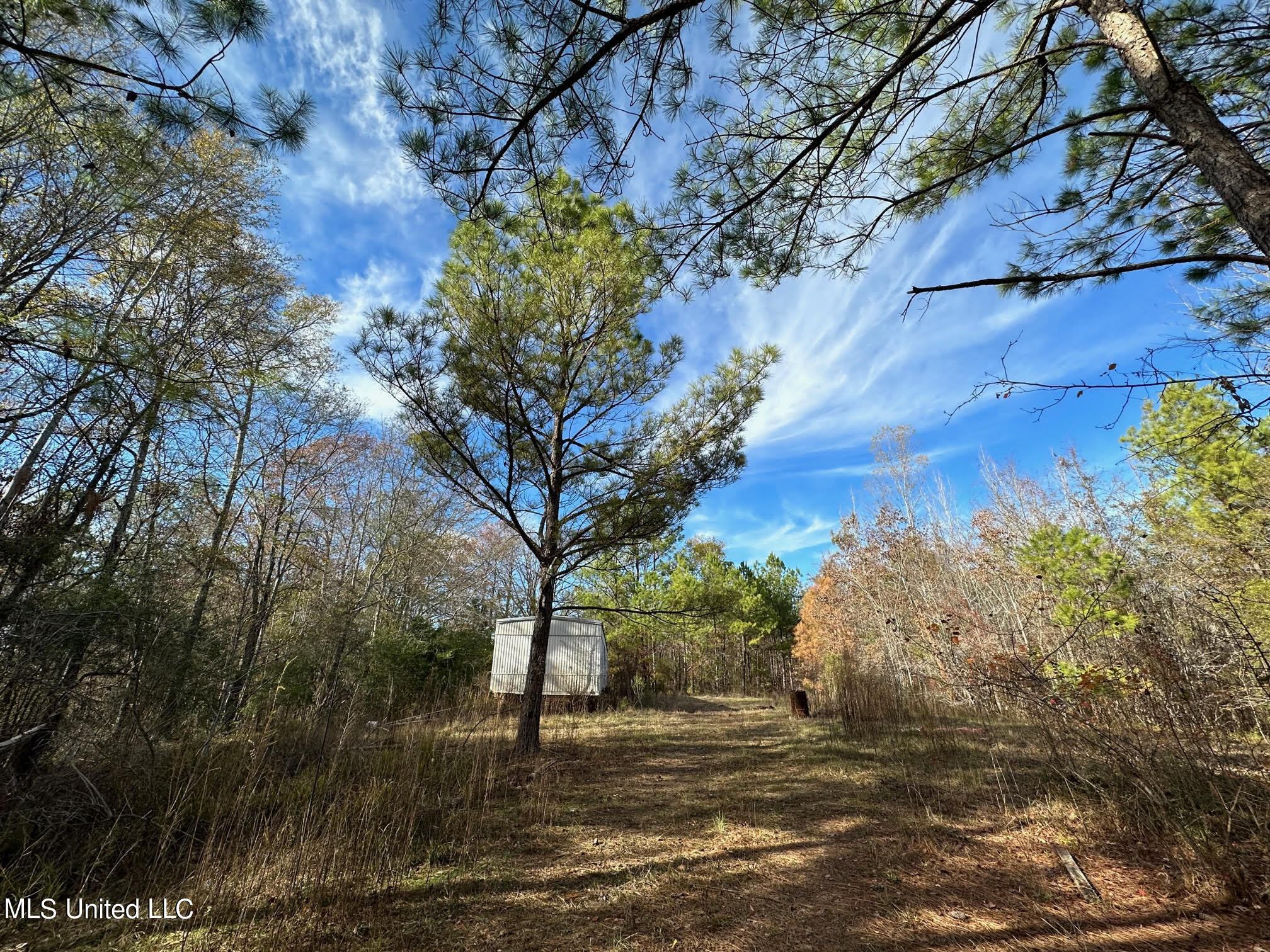 3125 Norman Road Hazlehurst, MS 39083 - Photo 5 of 31 4