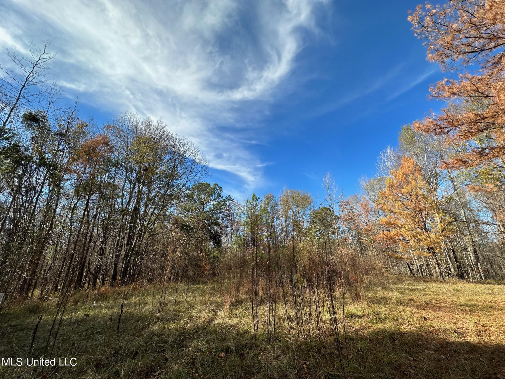 3125 Norman Road Hazlehurst, MS 39083 - Photo 10 of 31 9