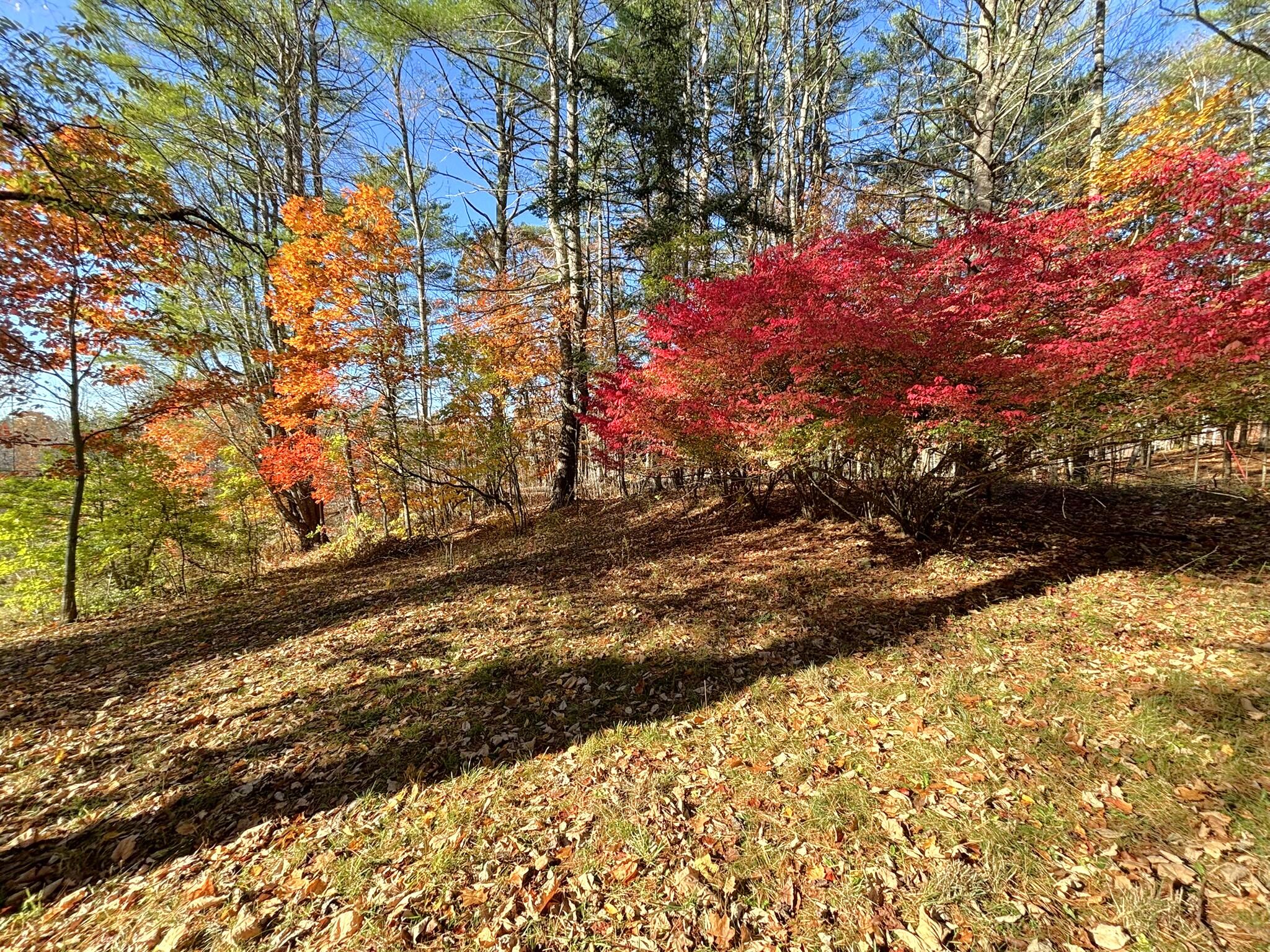 147 Greene Street Sabattus, ME 04280 - Photo 41 of 48 41. Great Landscaping