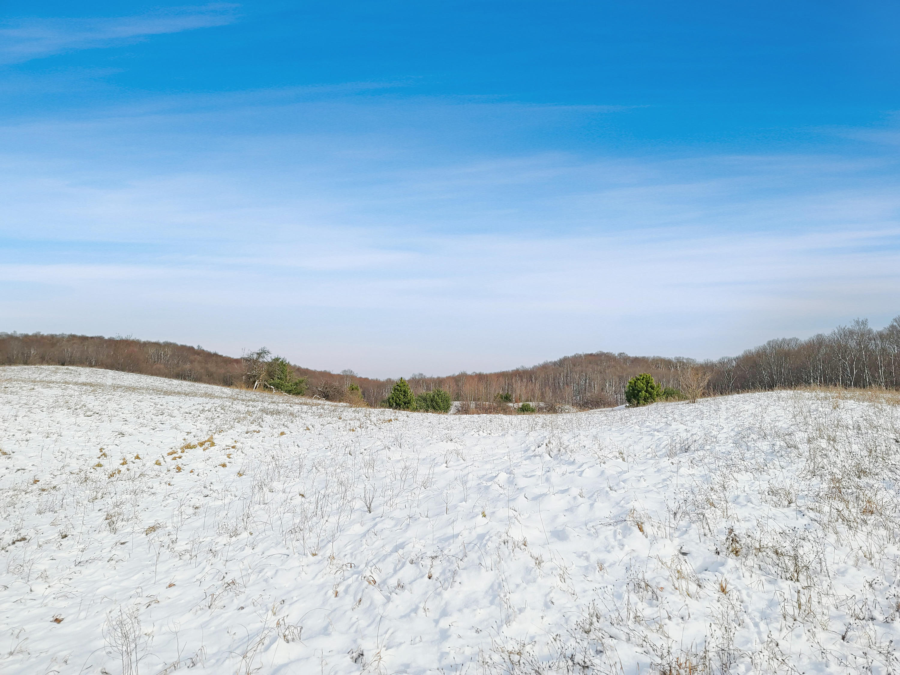Poquette Road Gaylord, MI 49735 - Photo 3 of 14 Gallery Image 3