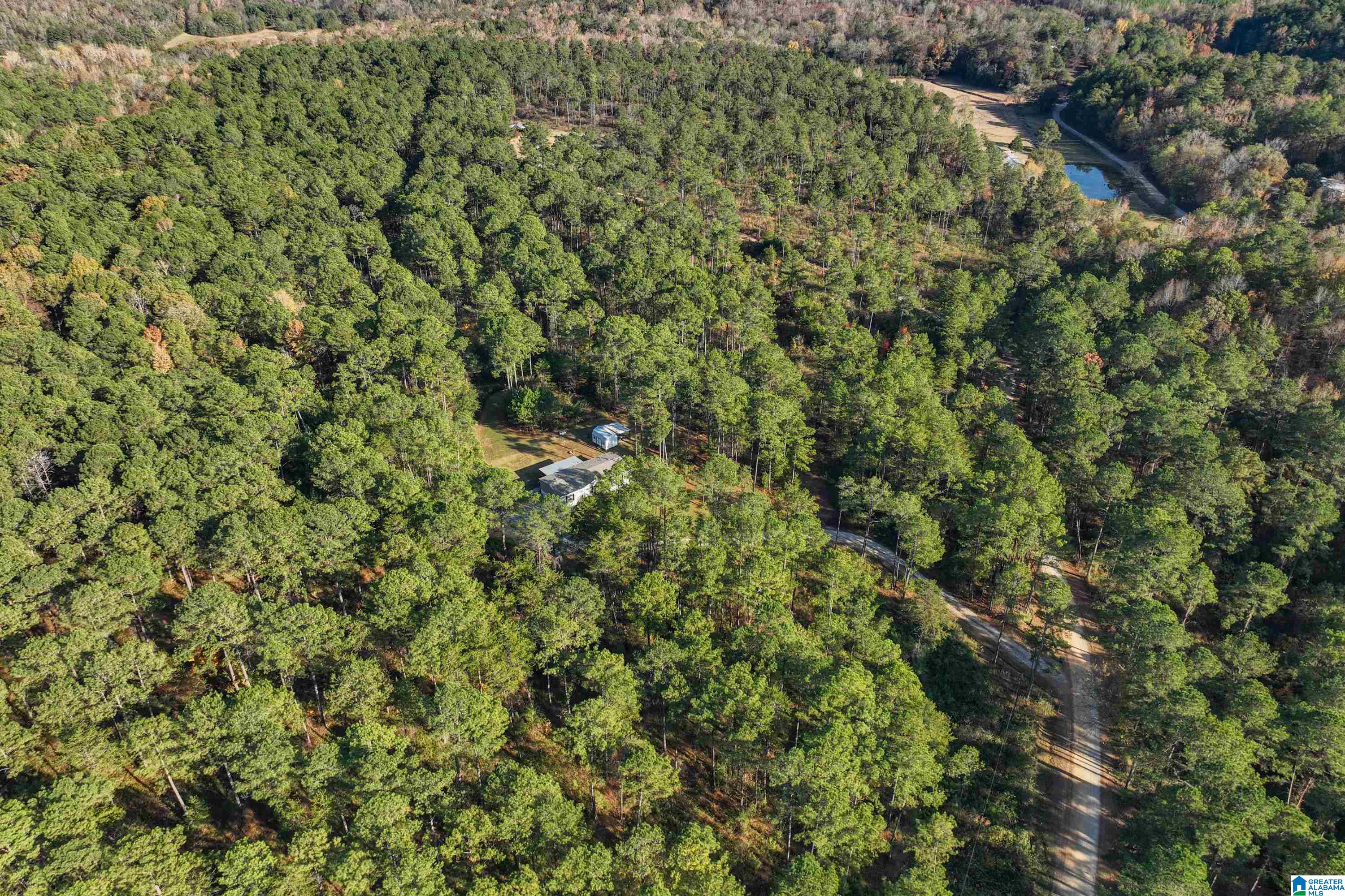 203 Gould Road Columbiana, AL 35051 - Photo 50 of 56