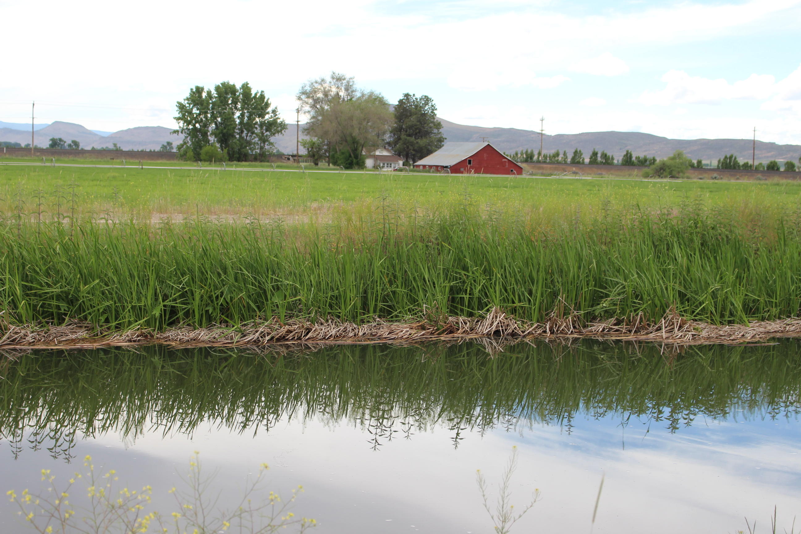 21660 Pope Road Merrill, OR 97633 - Photo 4 of 23 IMG_2718