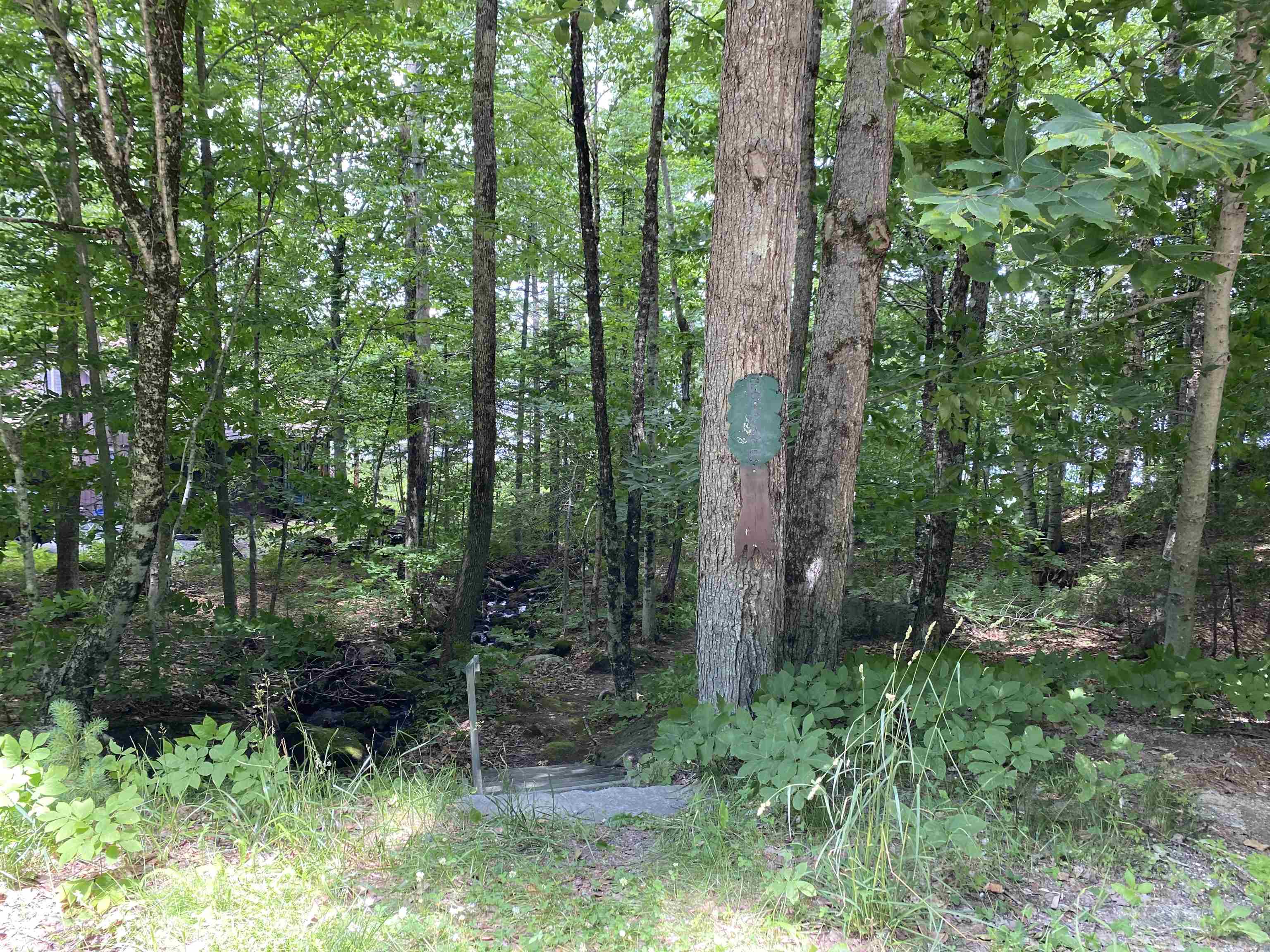 260 Forest Acres Road New London, NH 03257 - Photo 28 of 36