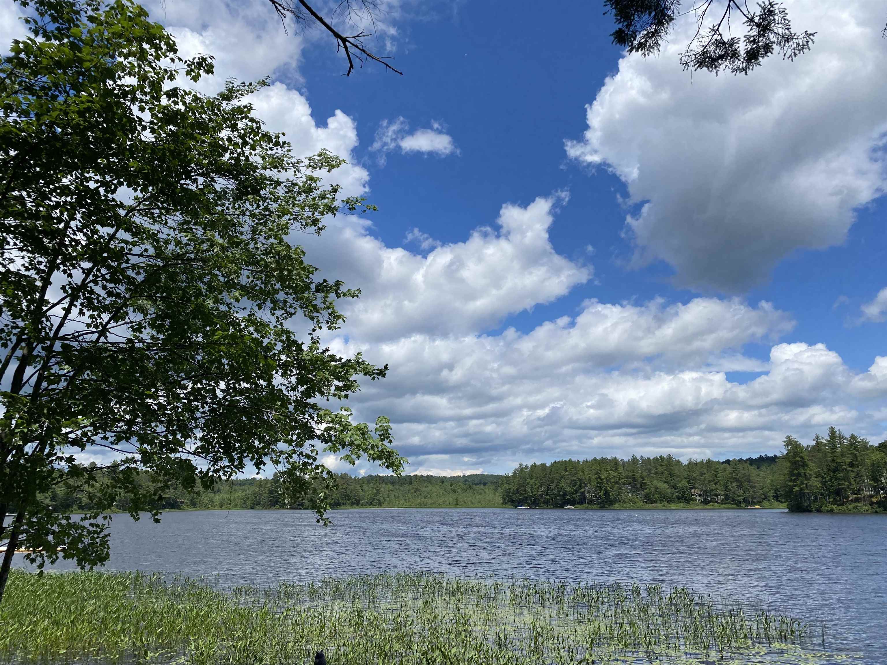 260 Forest Acres Road New London, NH 03257 - Photo 29 of 36