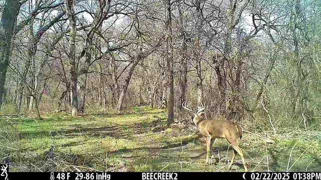 $275,000 | 0 Bee Creek Road, Maypearl, TX 76064